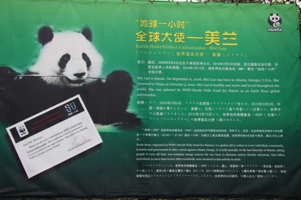 2010-09-23-2010-10-06-Chengdu-Research-Base-of-Giant-Panda-Breeding-146-No