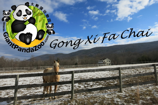 Gong-Xi-Fa-Chai-2