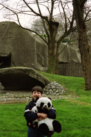 Child holding panda plush at the zoo