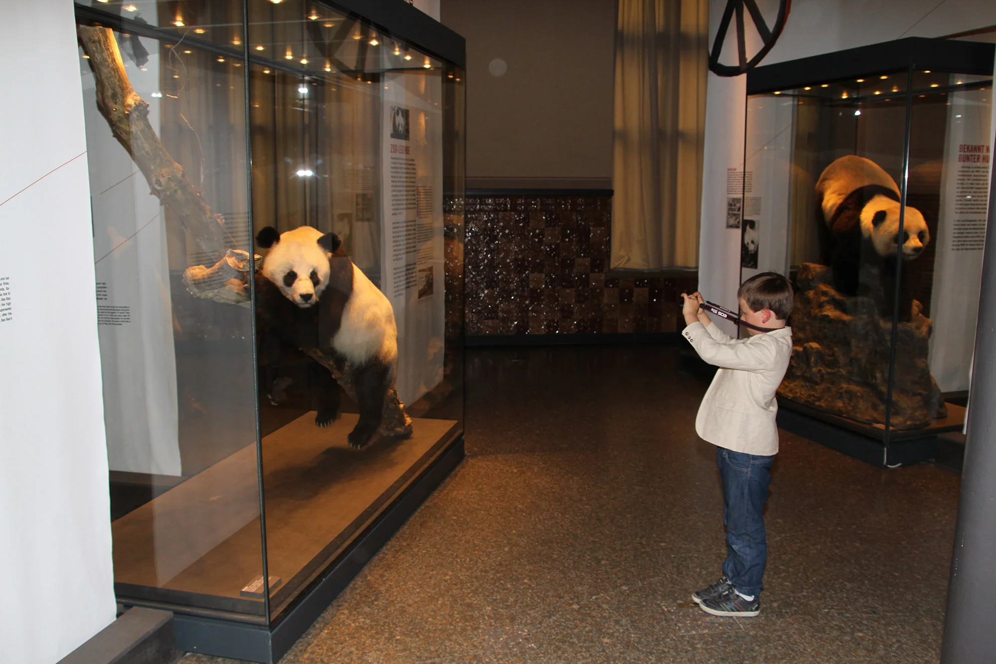 Museum Für Naturkunde Berlin