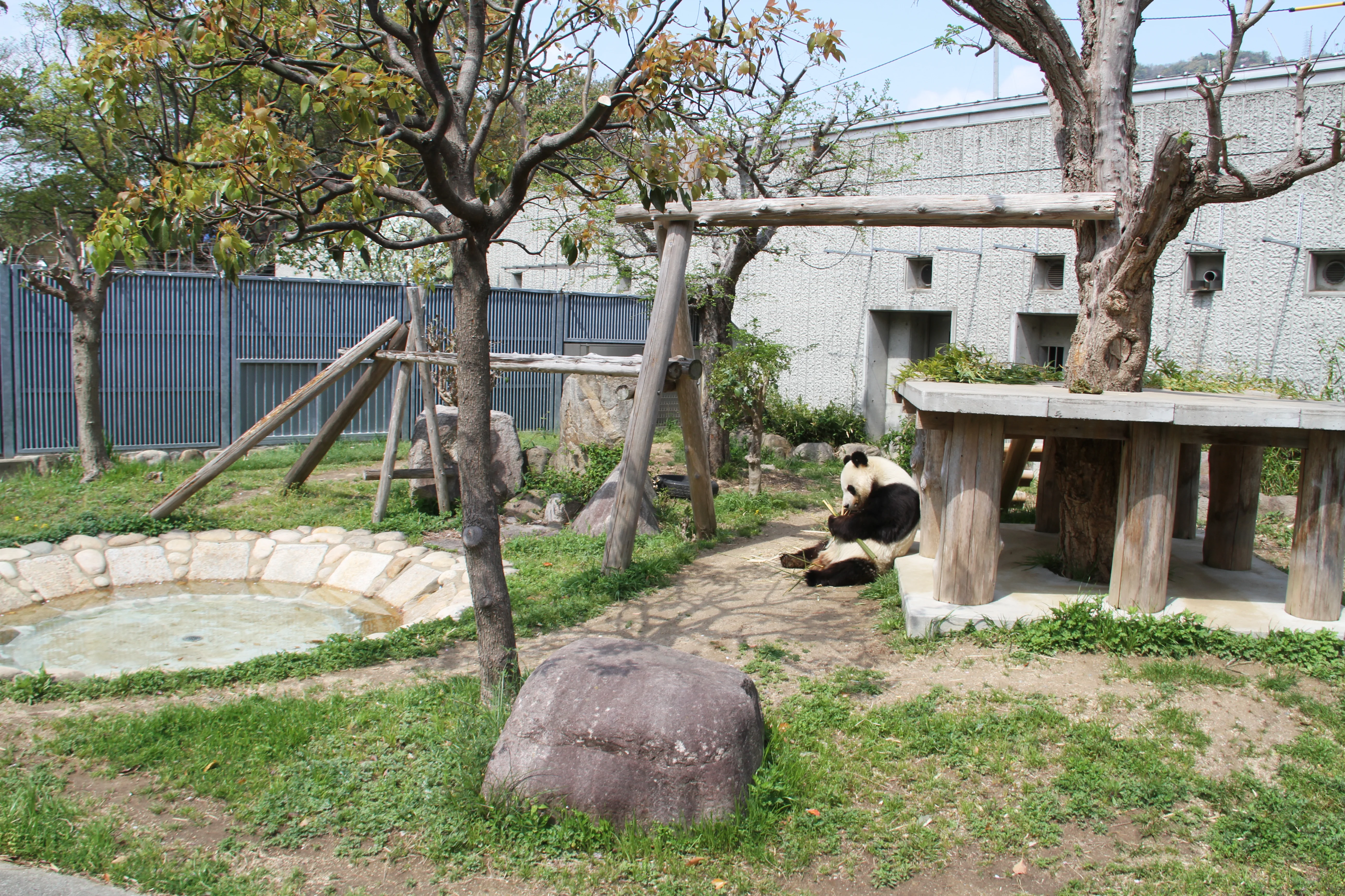 Kobe Oji Zoo