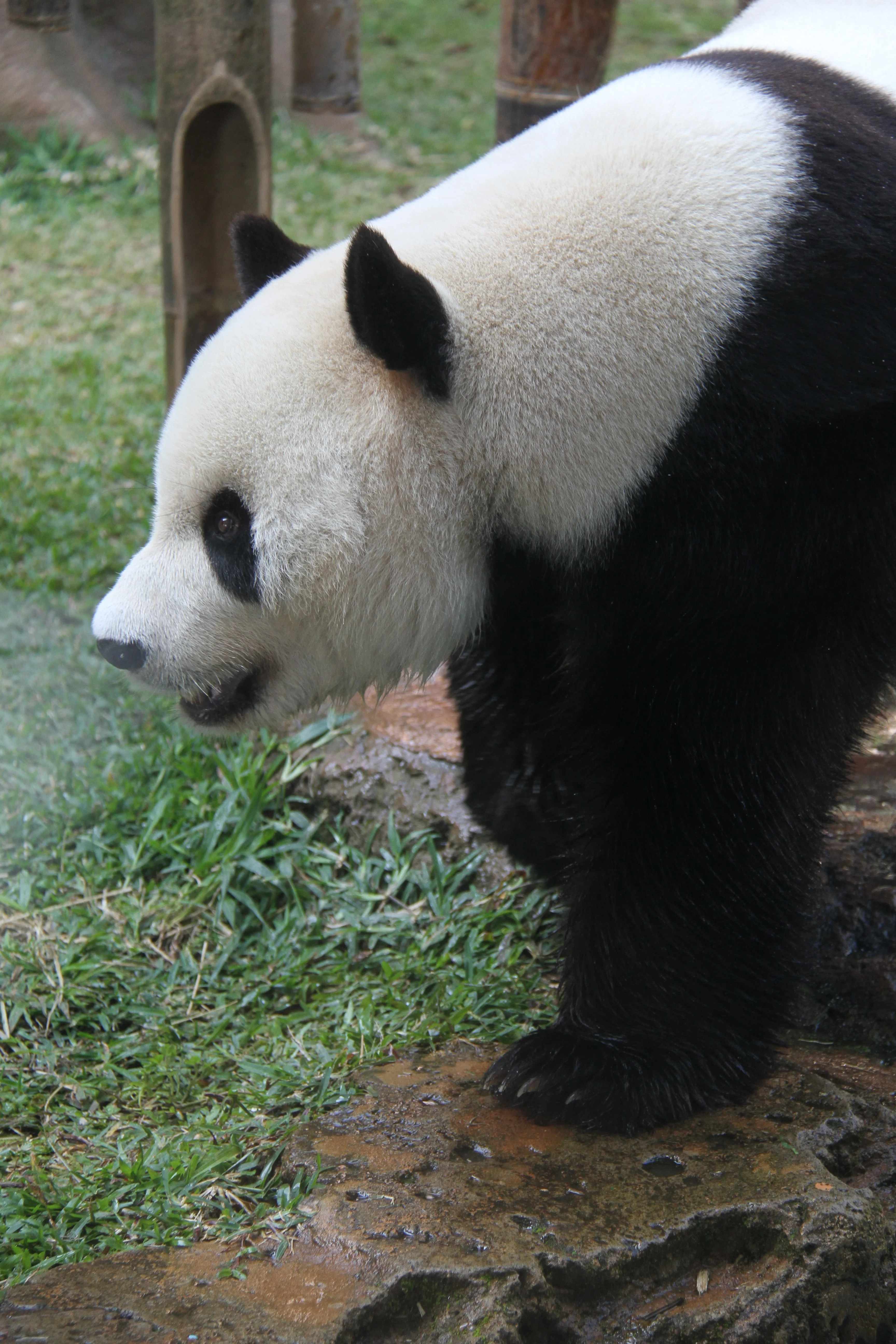 Taman Safari Indonesia