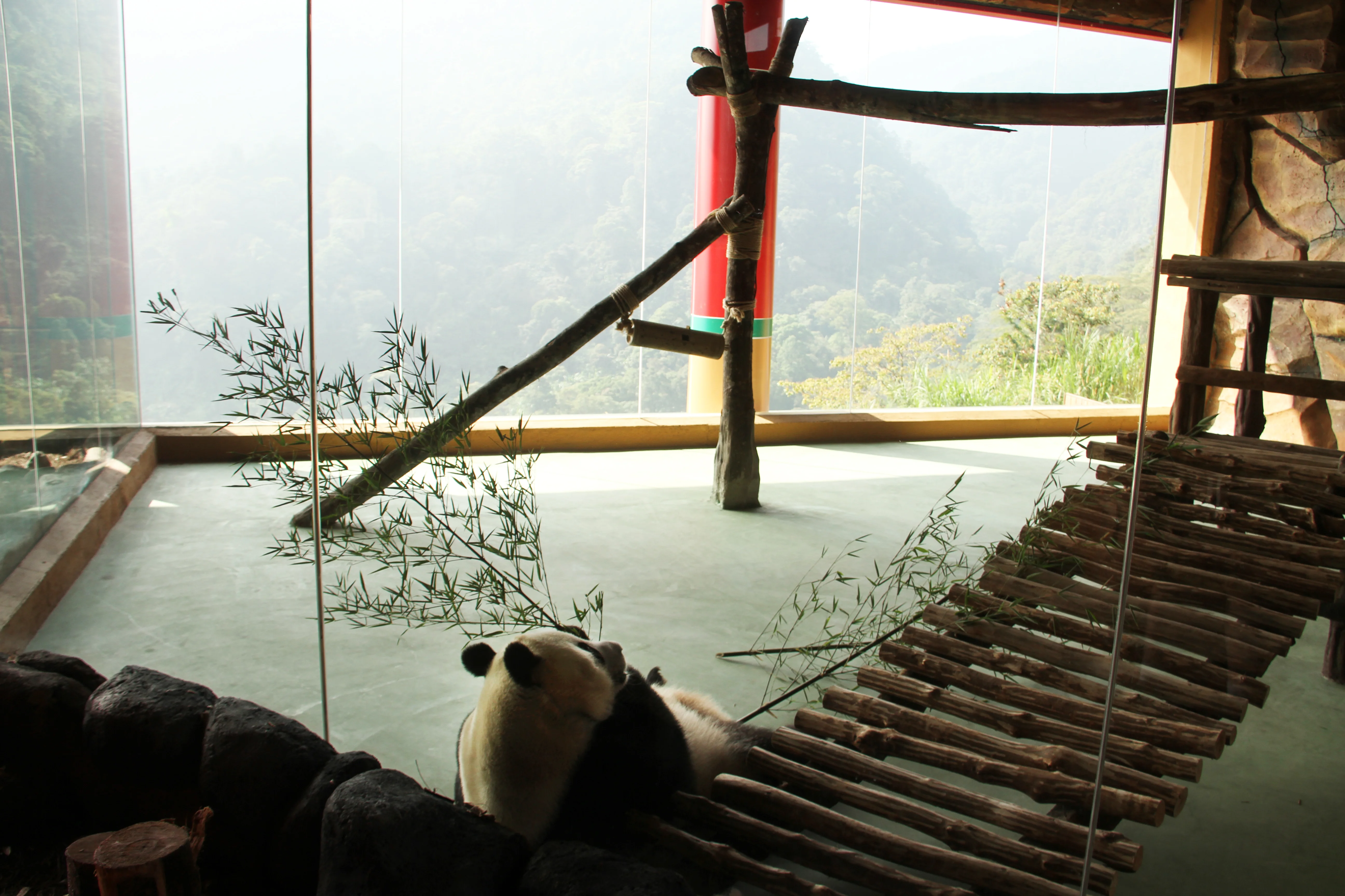 Taman Safari Indonesia