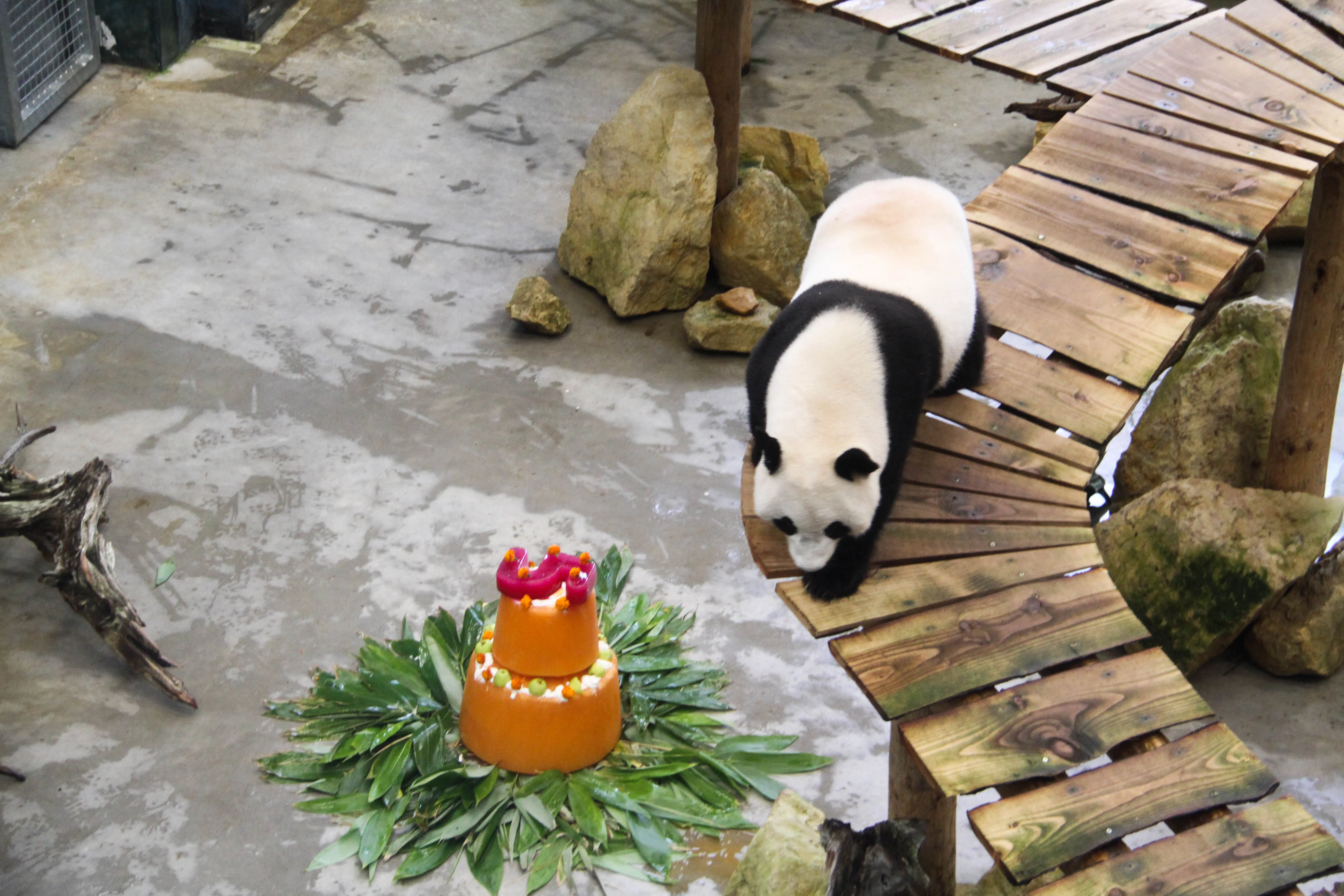 Ouwehands Dierenpark Rhenen