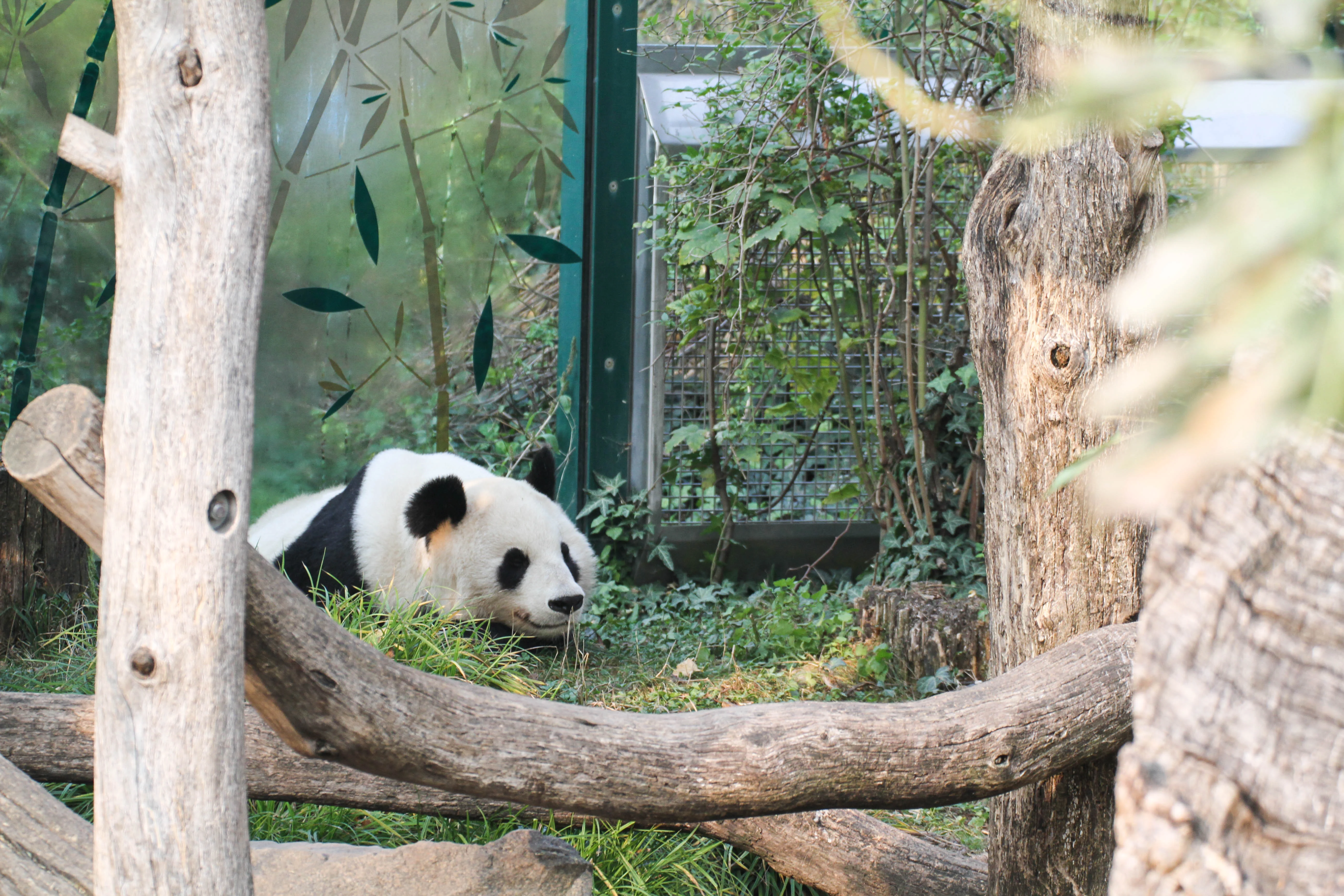 Tiergarten Schönbrunn