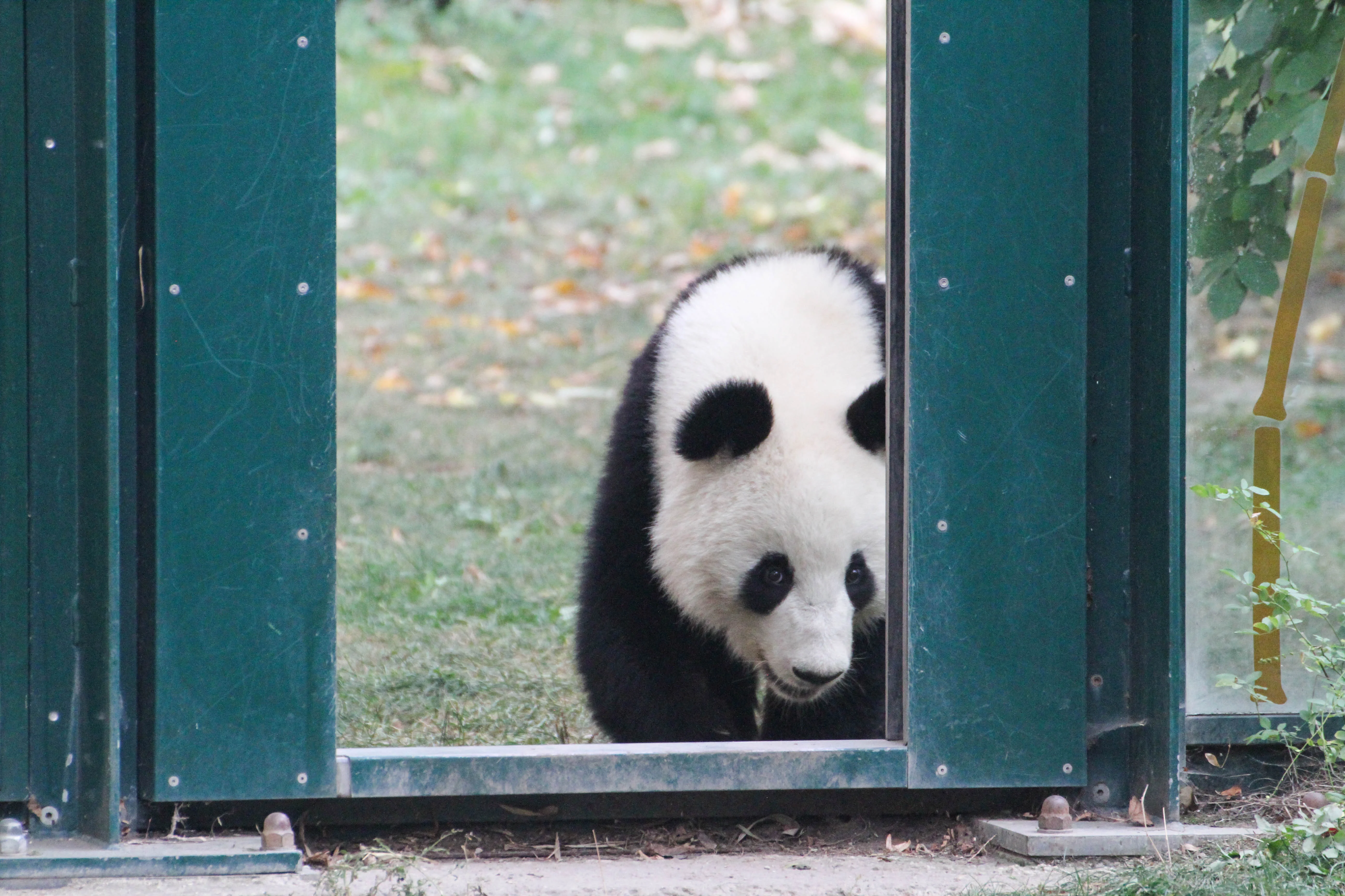 Tiergarten Schönbrunn