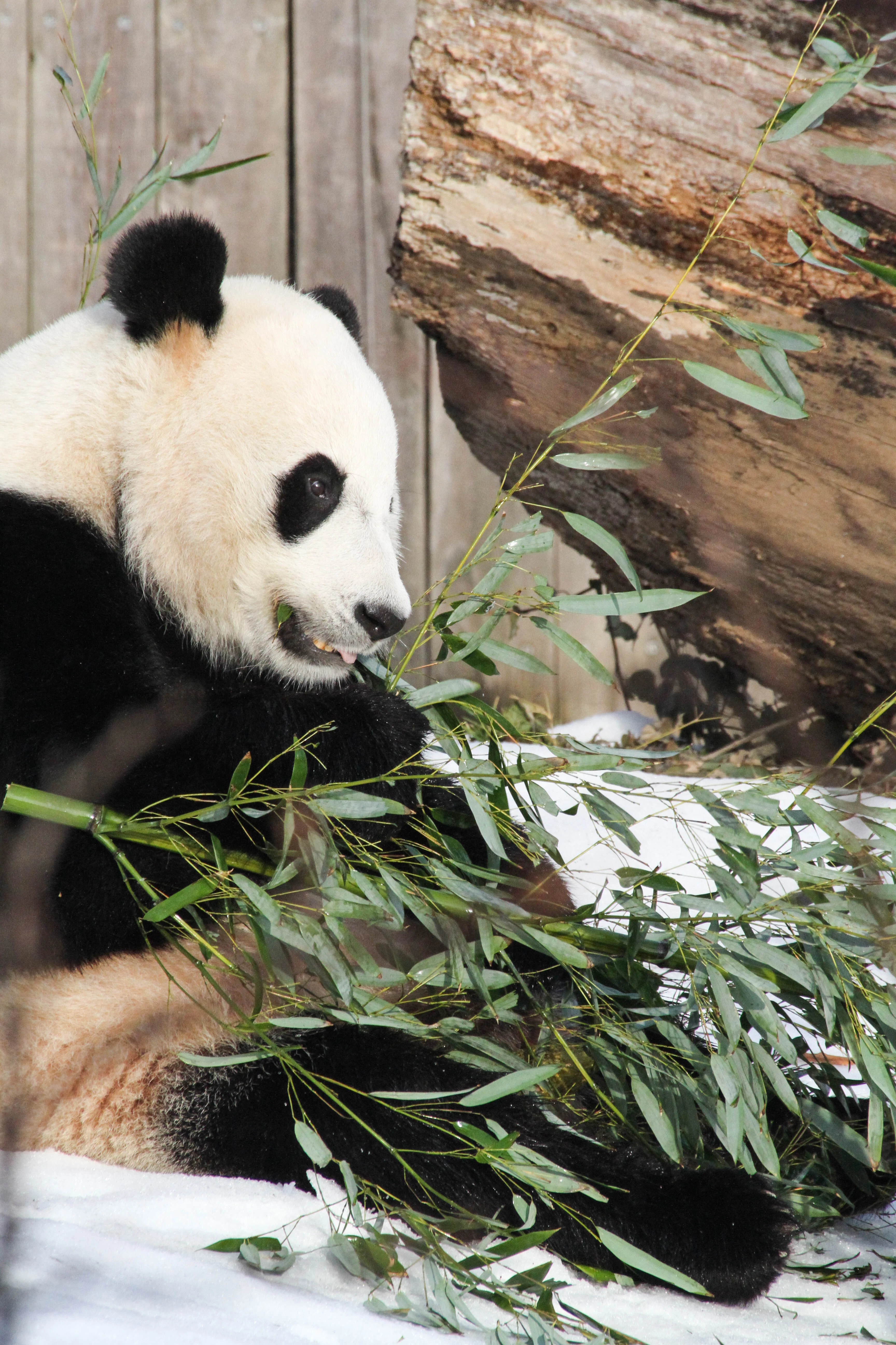 Smithsonian's National Zoo
