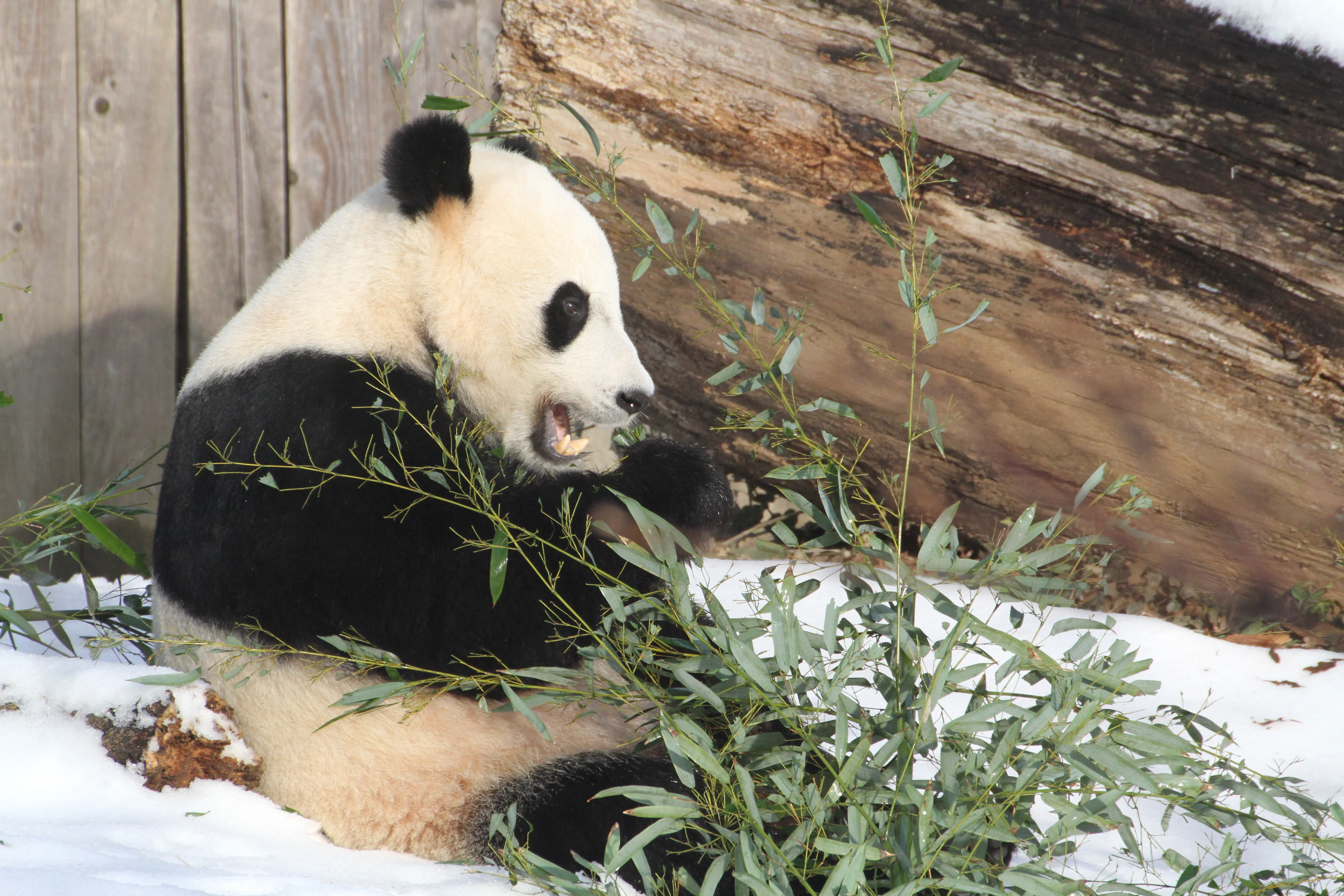 Smithsonian's National Zoo