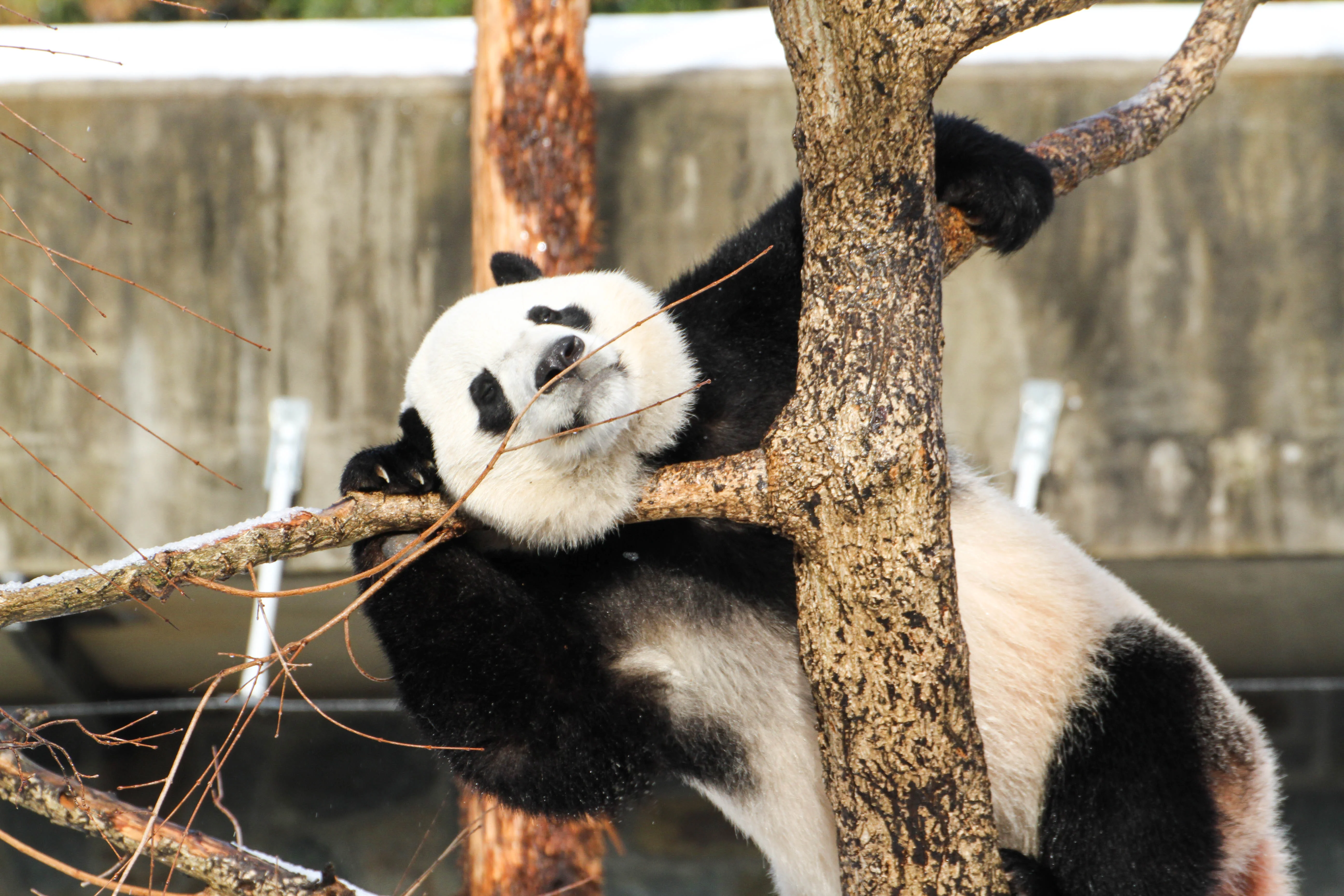 Smithsonian's National Zoo