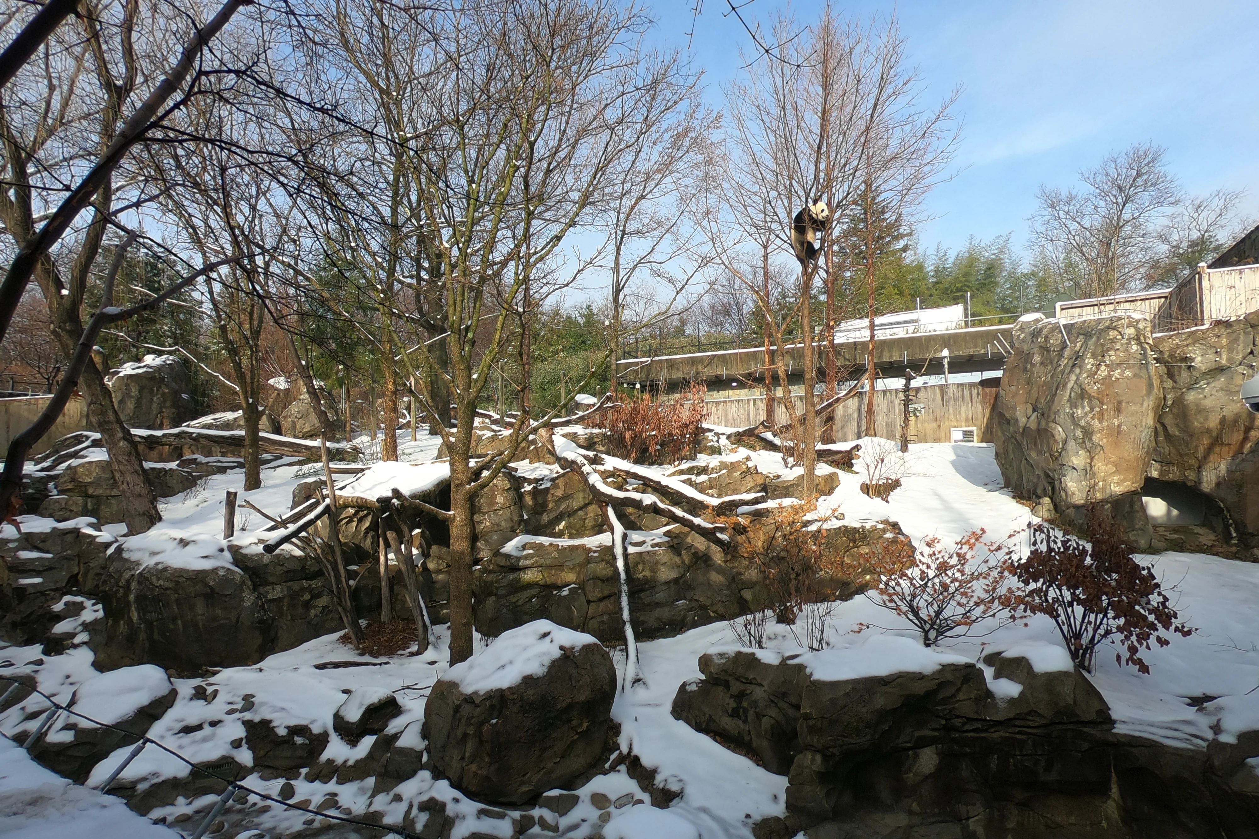 Smithsonian's National Zoo