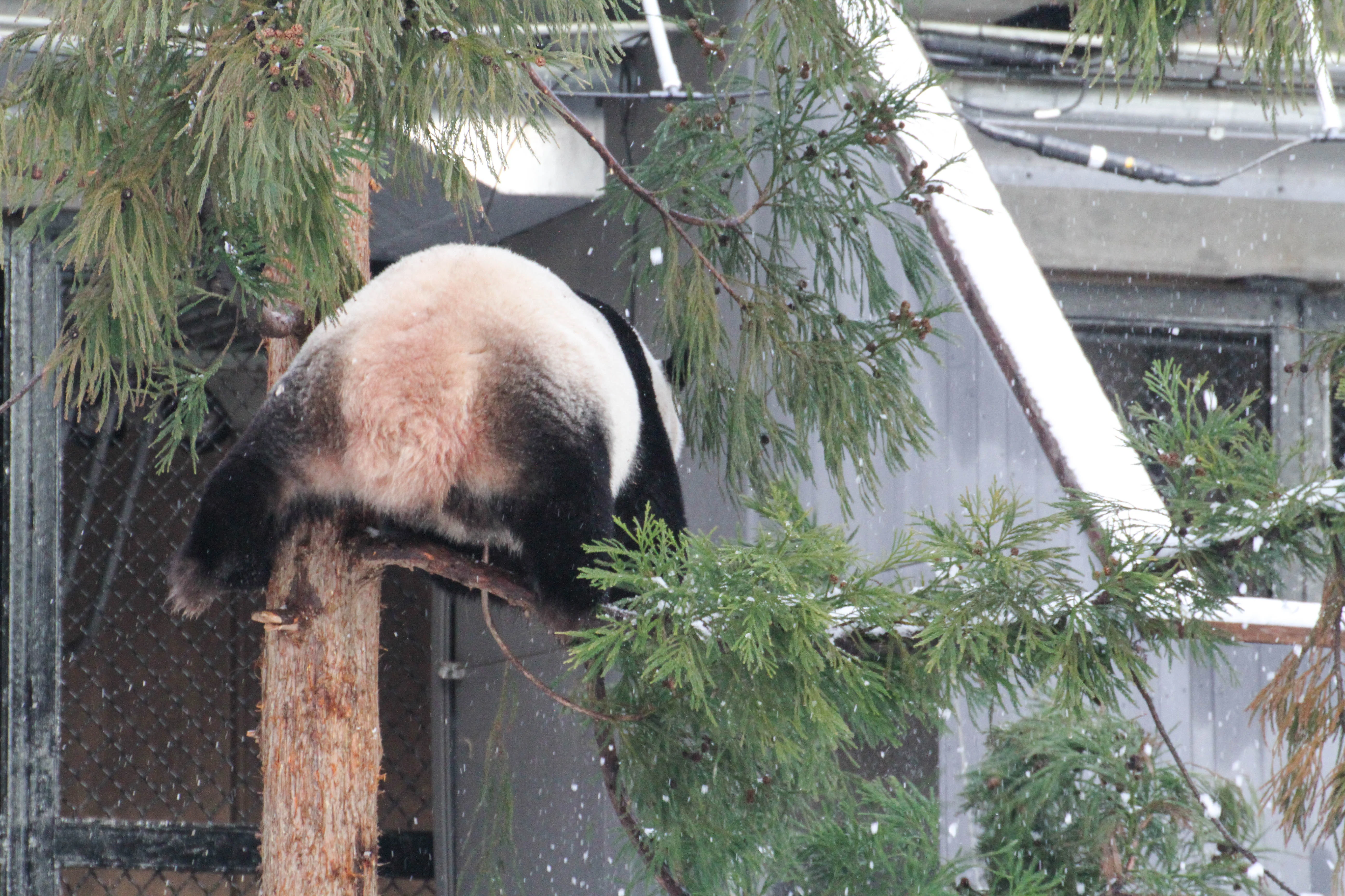 Smithsonian's National Zoo