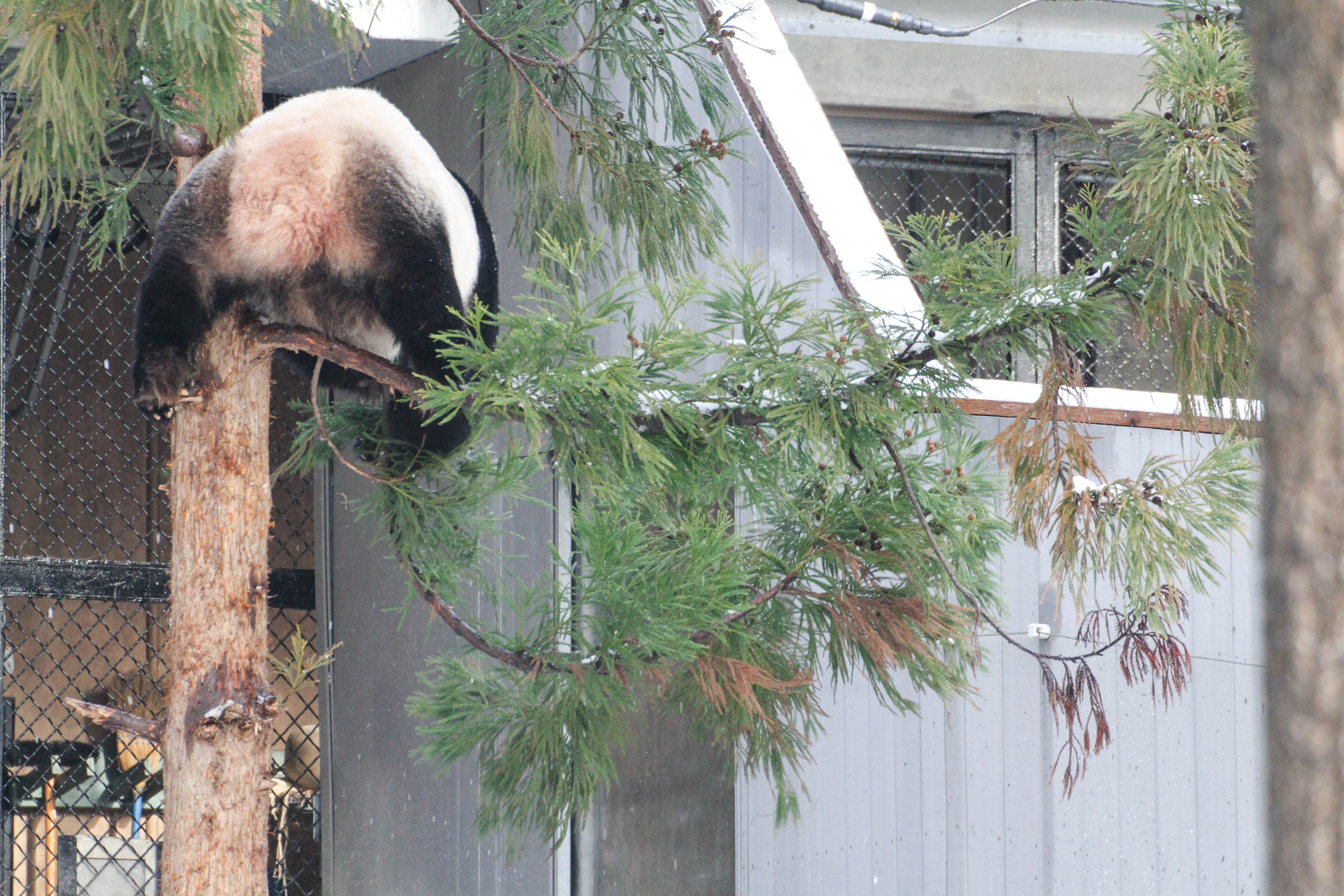 Smithsonian's National Zoo