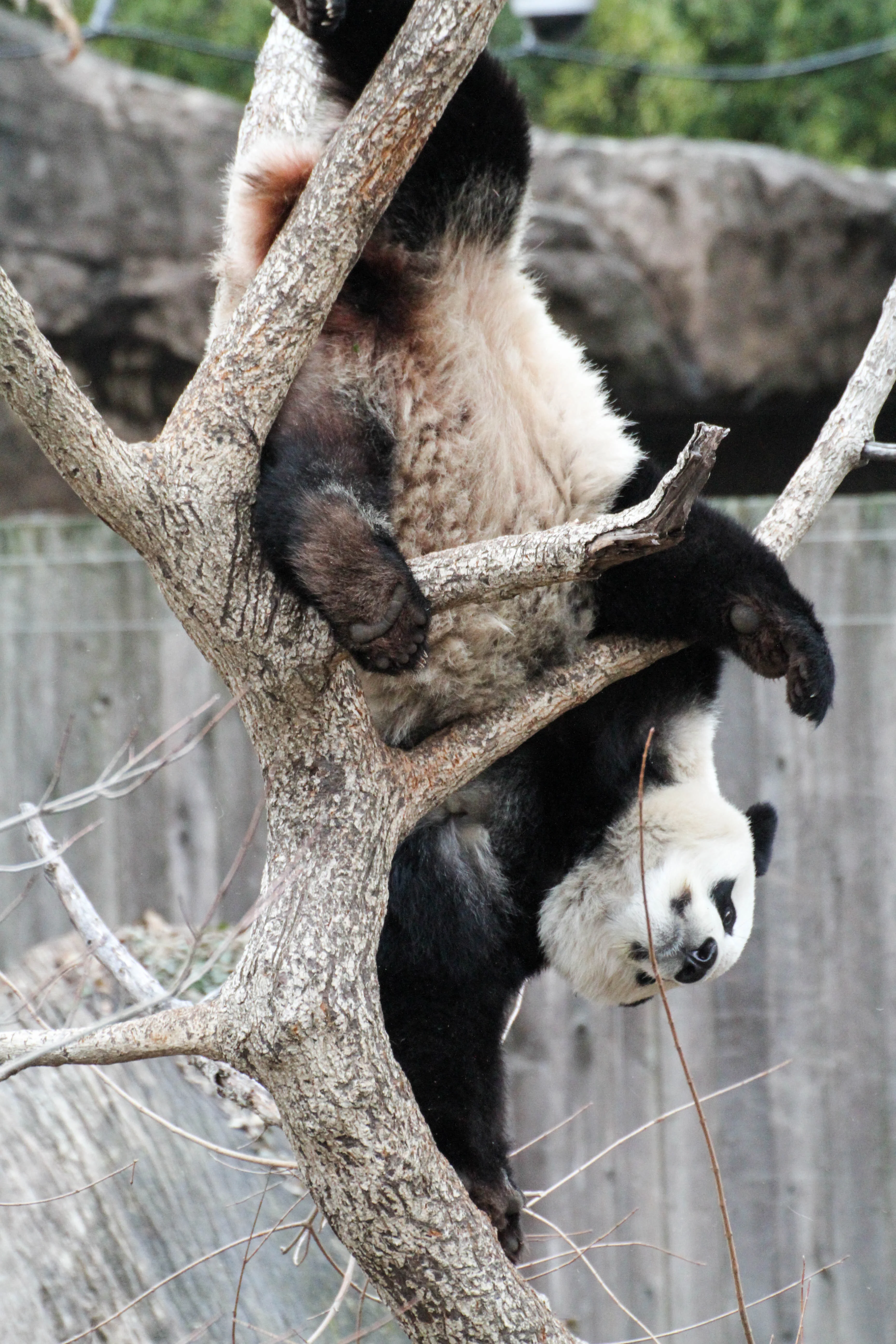 Smithsonian's National Zoo