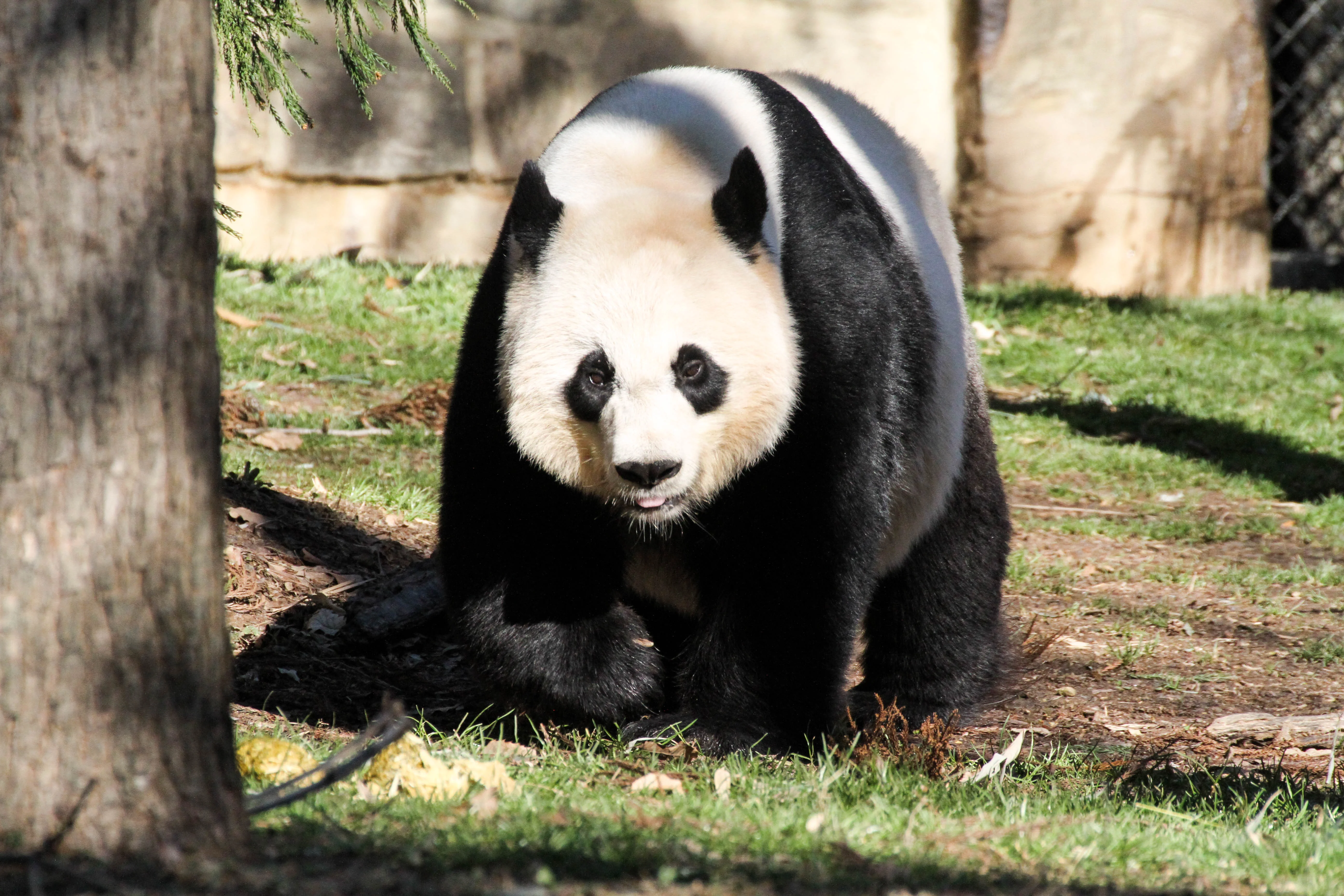 Smithsonian's National Zoo