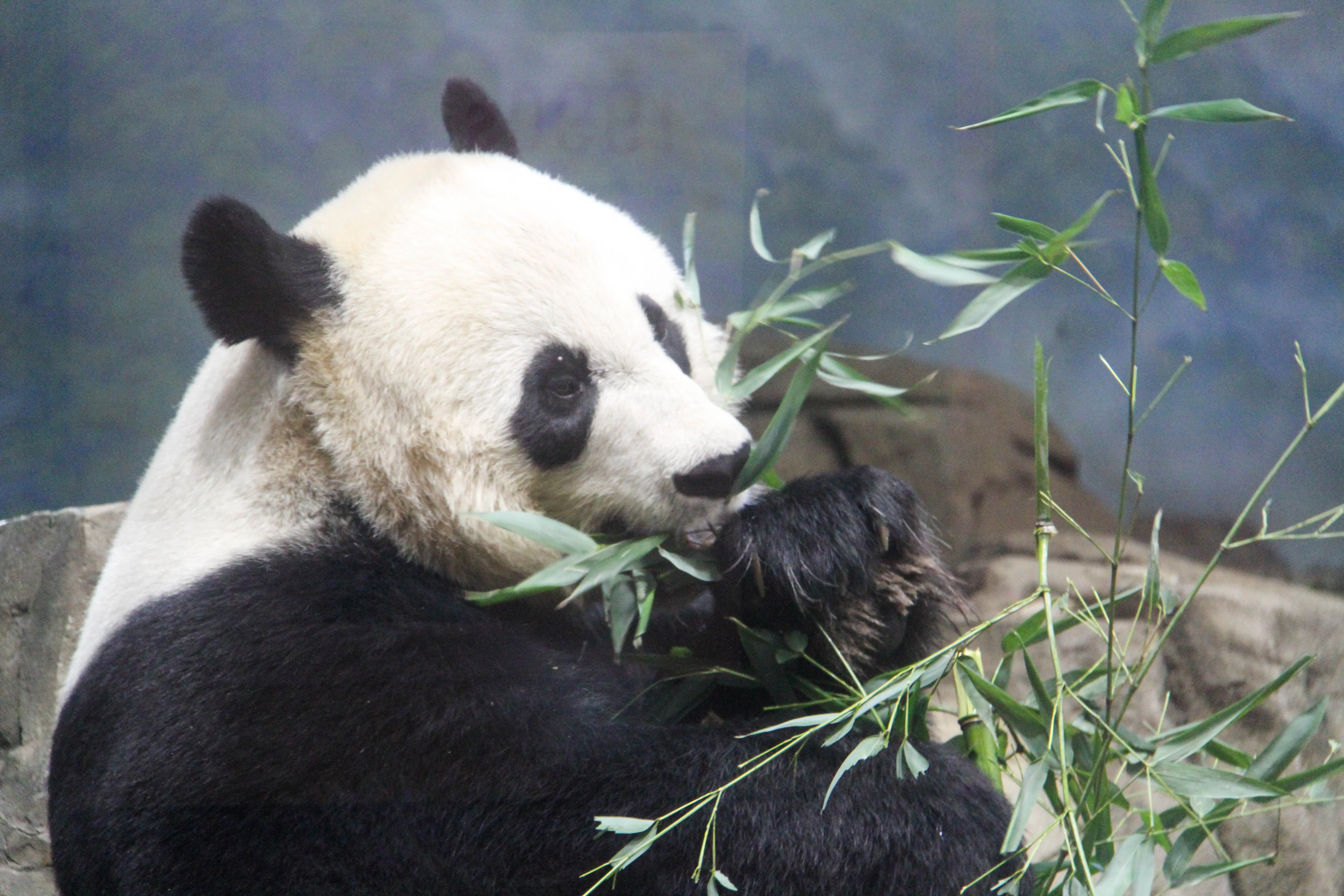Smithsonian's National Zoo