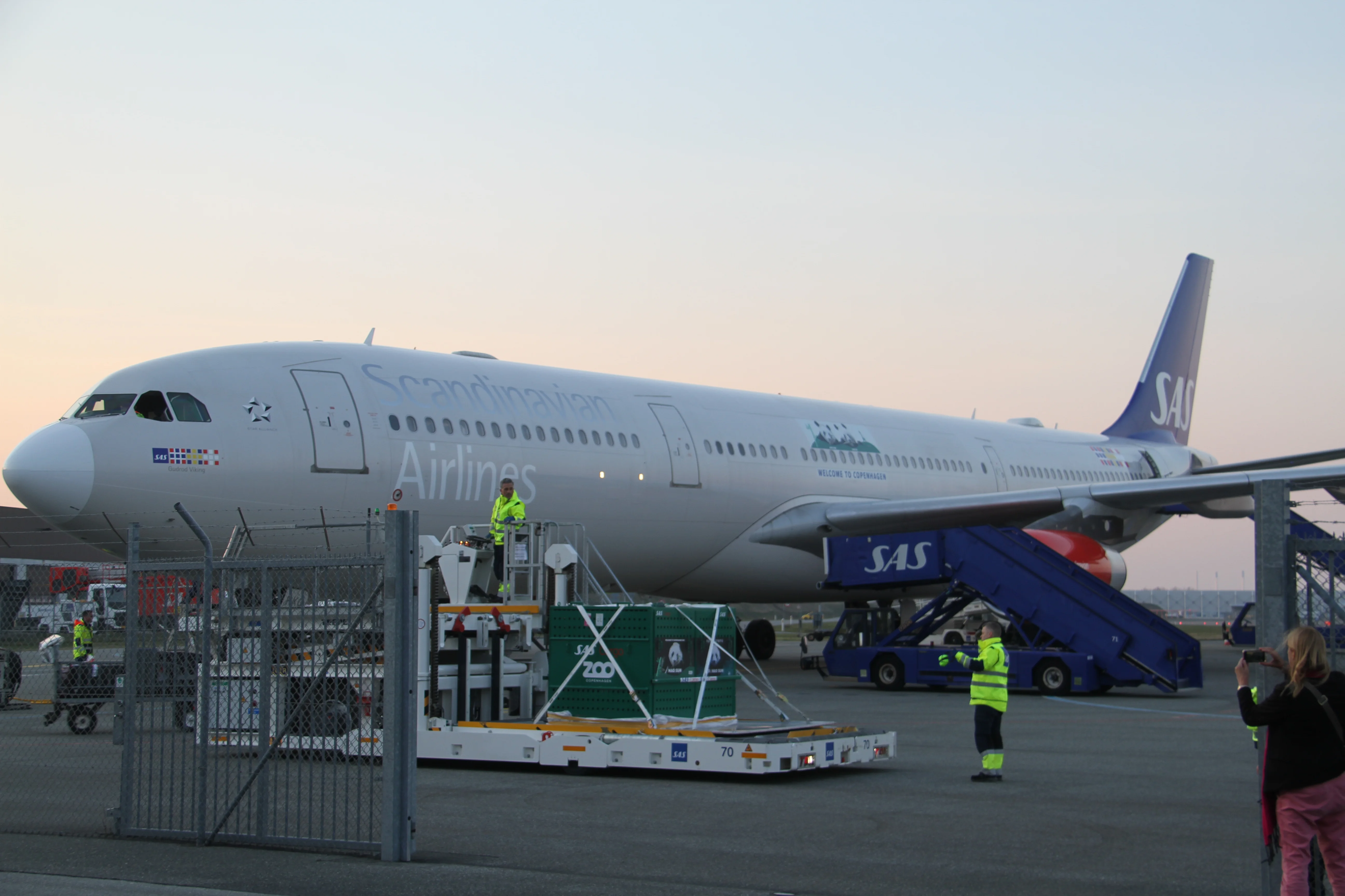 Arrival of Mao Sun &amp; Xing Er in Denmark