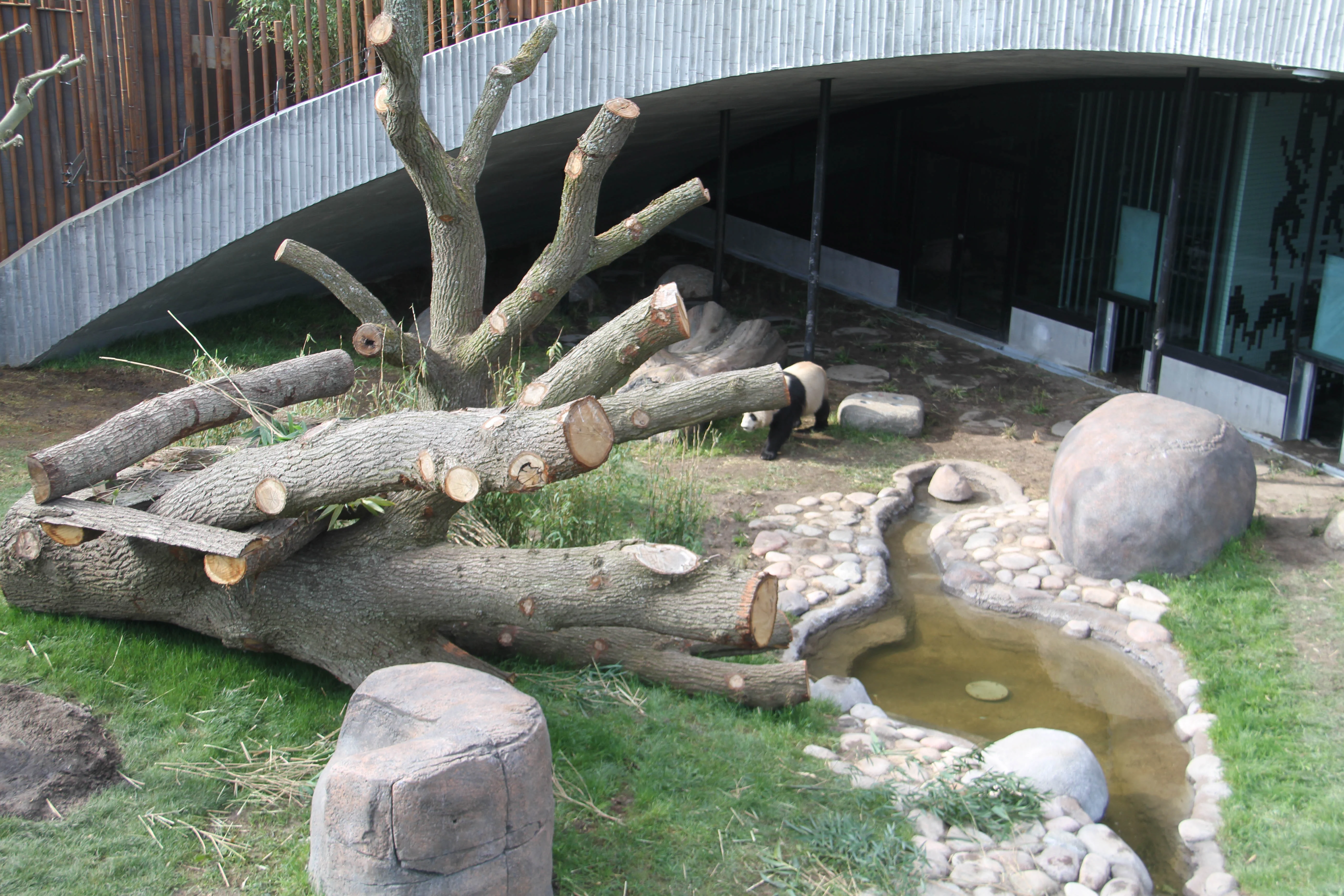 Zoo København - Public Opening