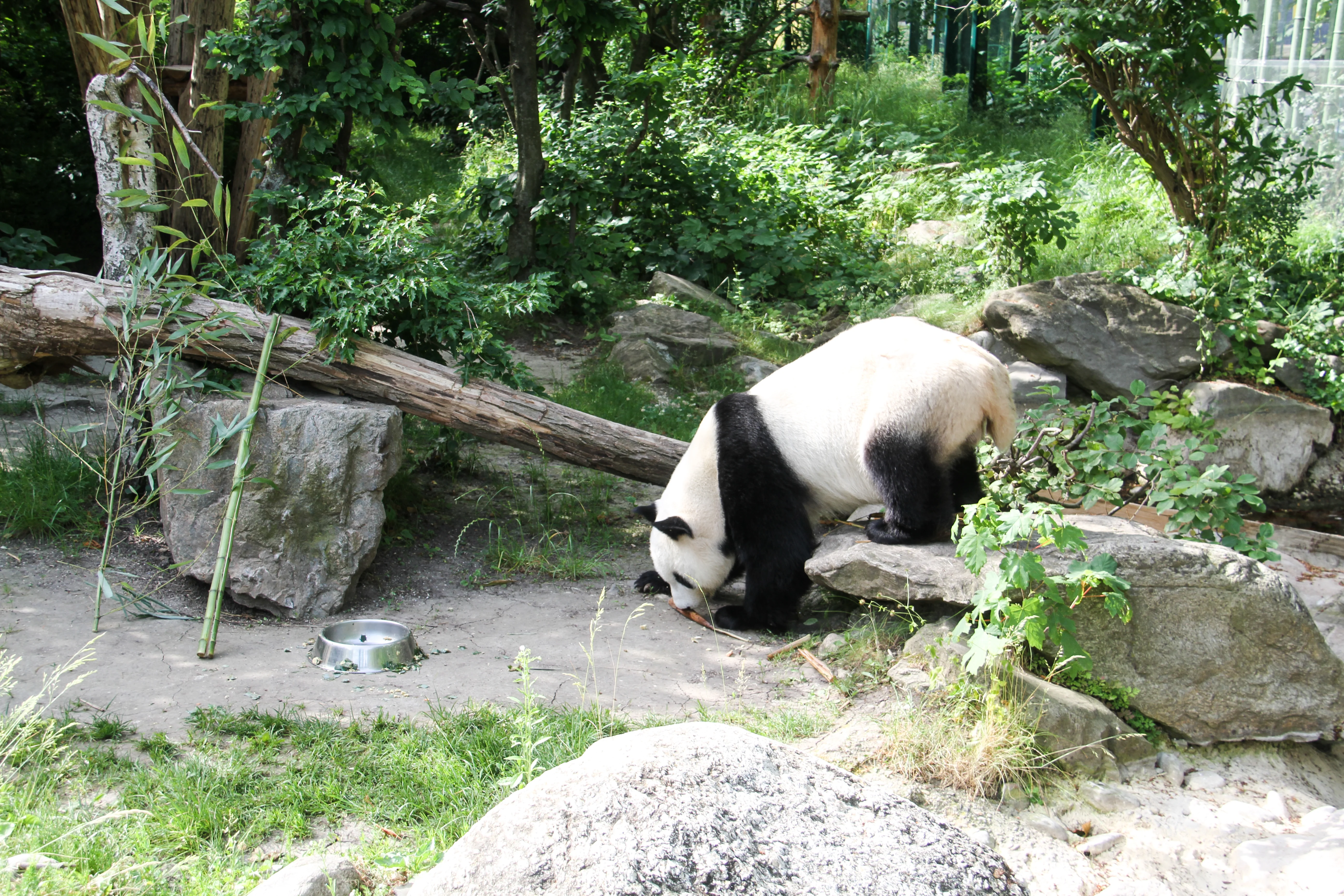 Tiergarten Schönbrunn