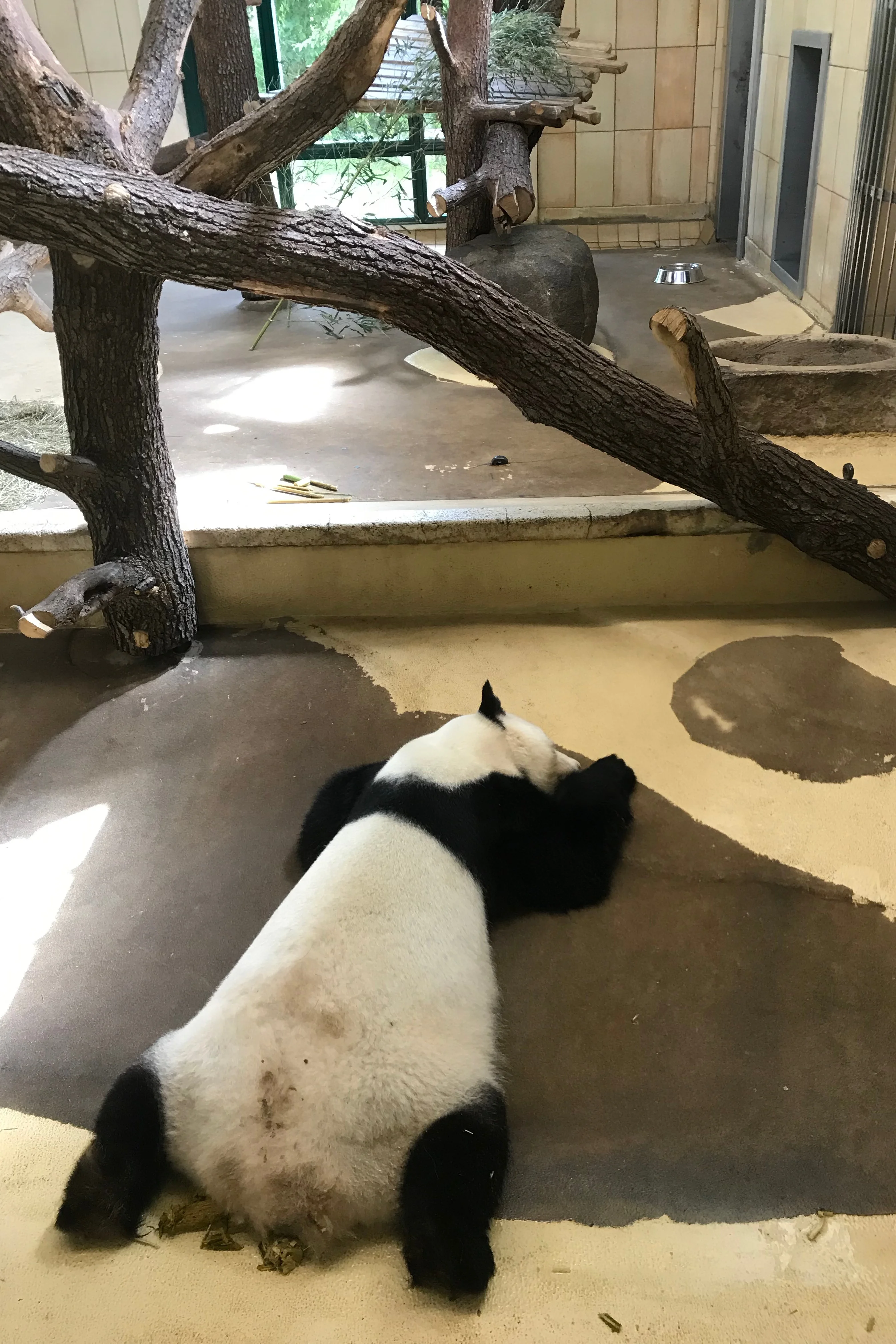 Tiergarten Schönbrunn