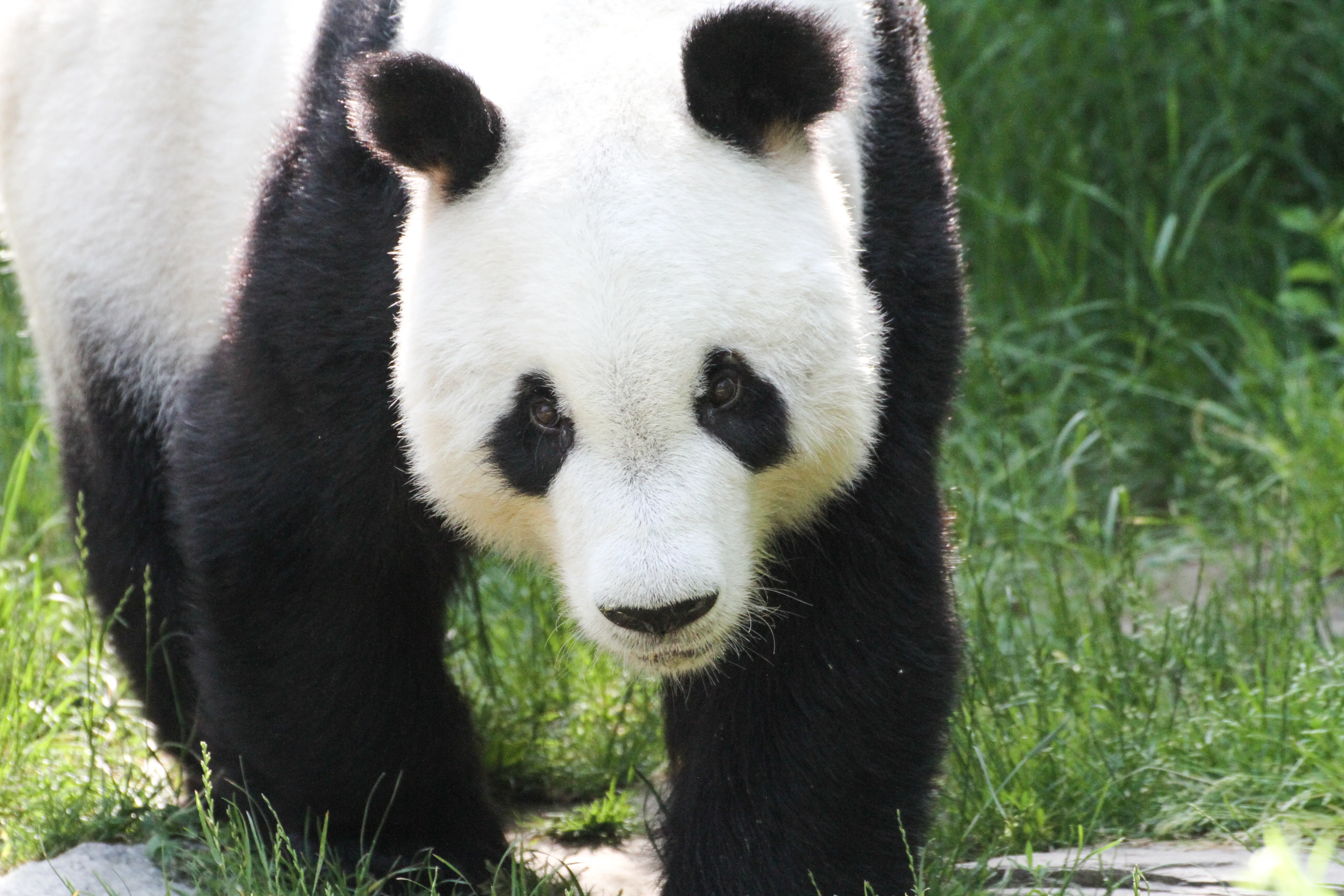 Tiergarten Schönbrunn