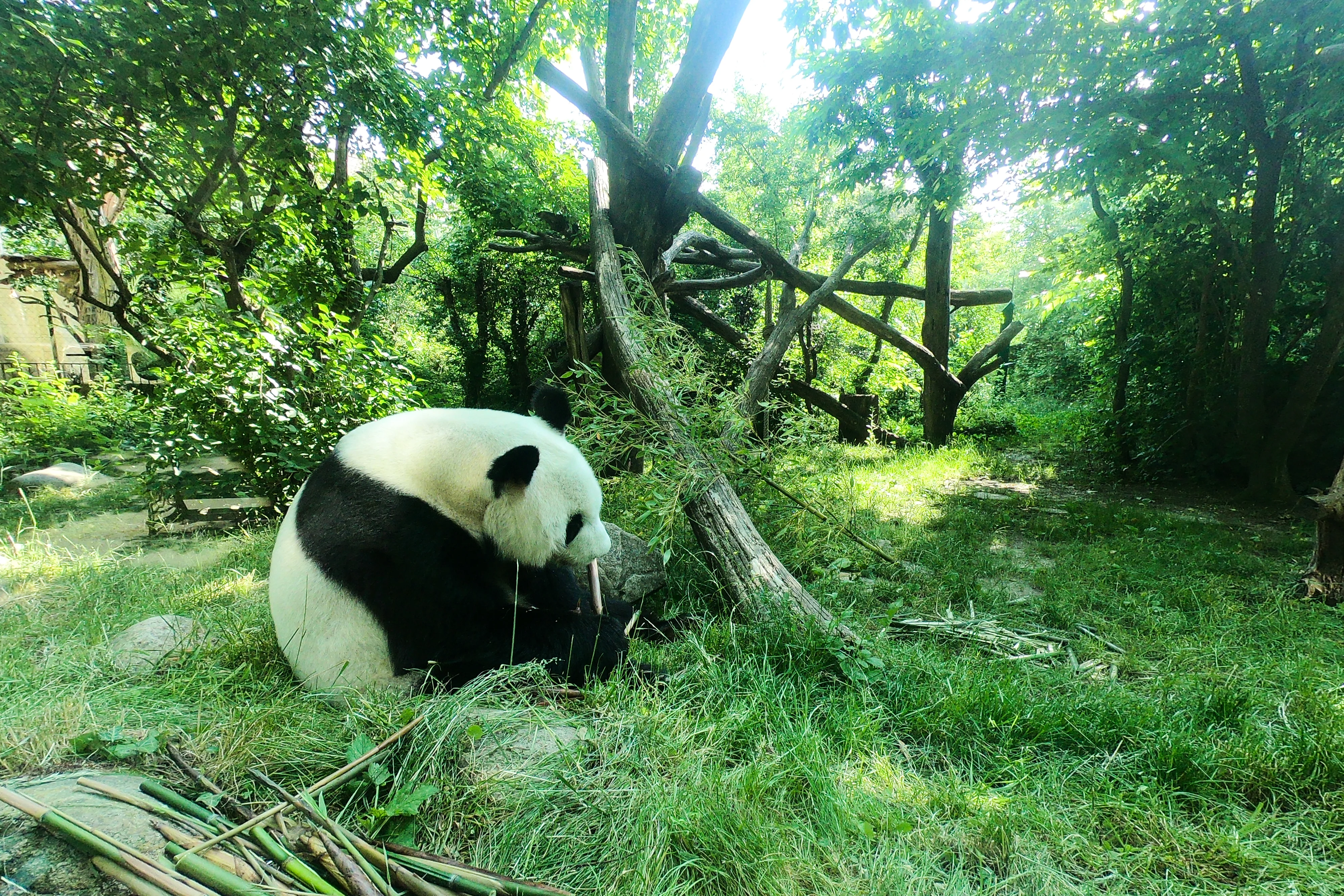 Tiergarten Schönbrunn