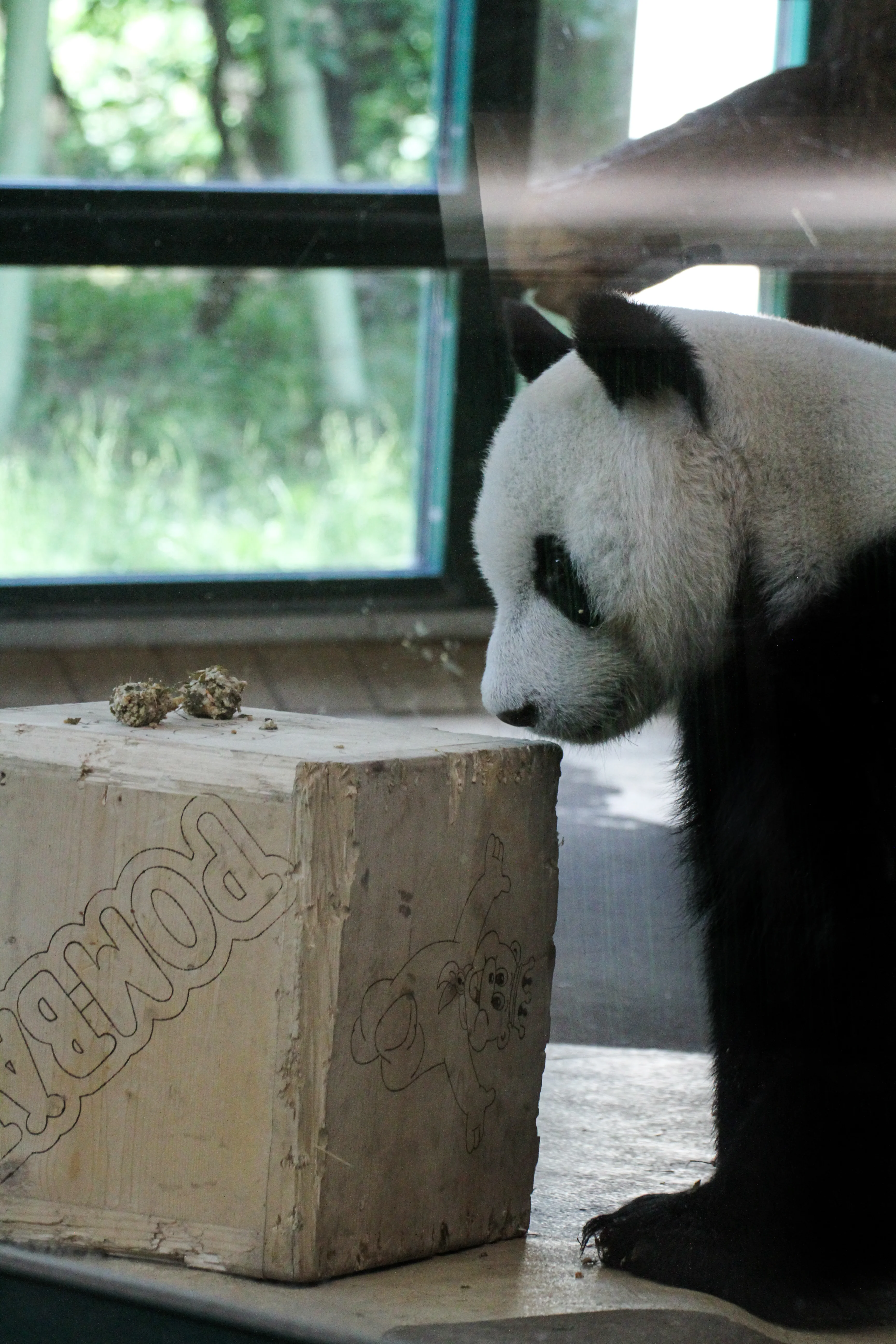 Tiergarten Schönbrunn