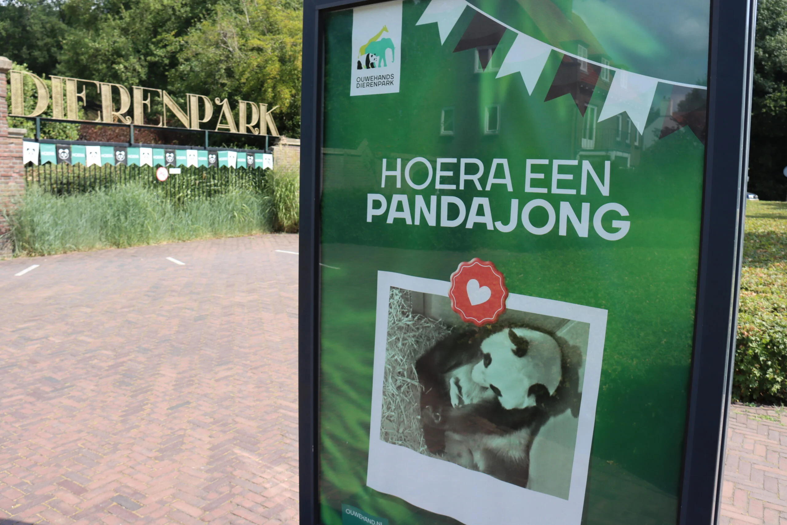 Ouwehands Dierenpark Rhenen - Naming Ceremony Fan Xing
