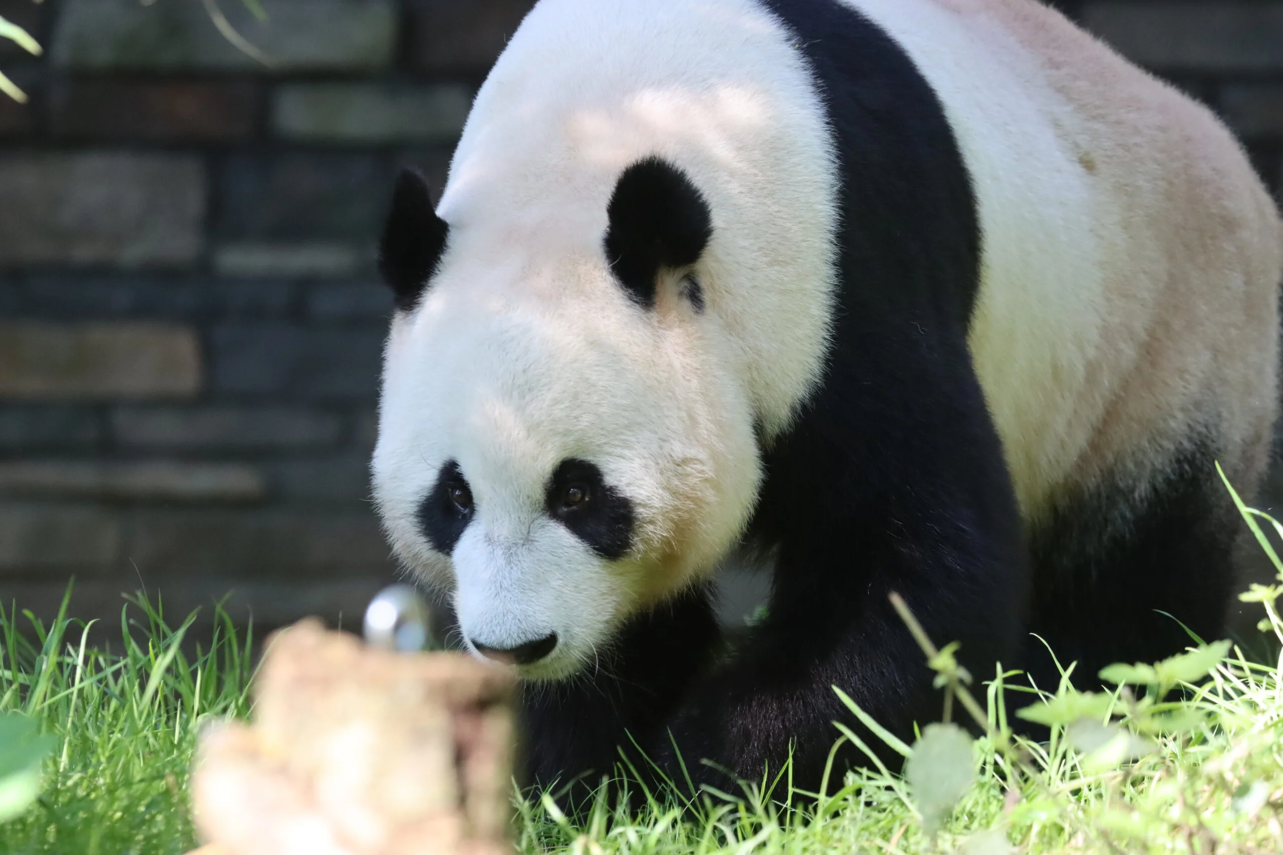 Ouwehands Dierenpark Rhenen