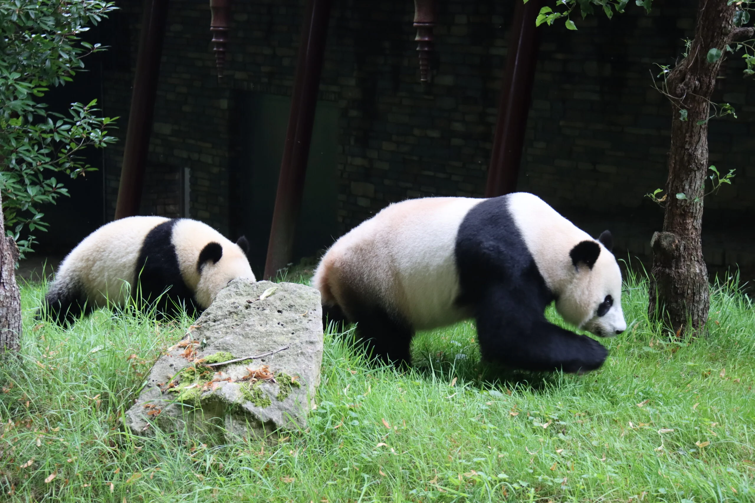 Ouwehands Dierenpark Rhenen