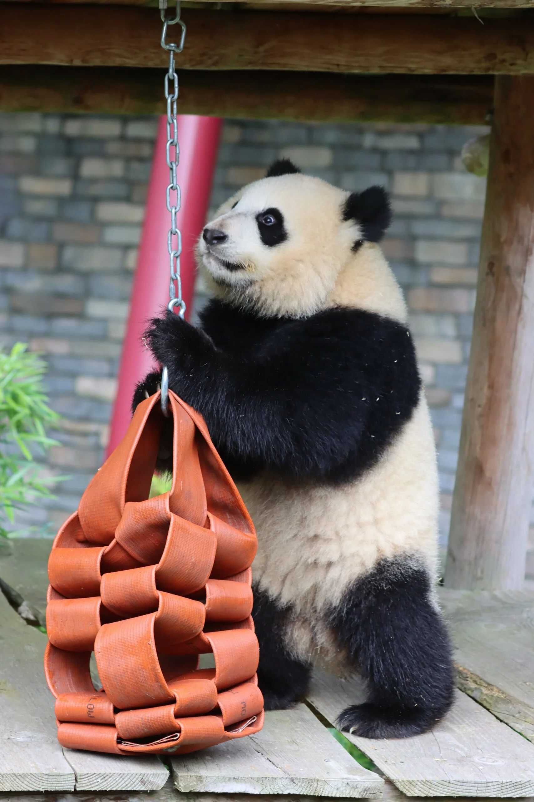 Ouwehands Dierenpark Rhenen