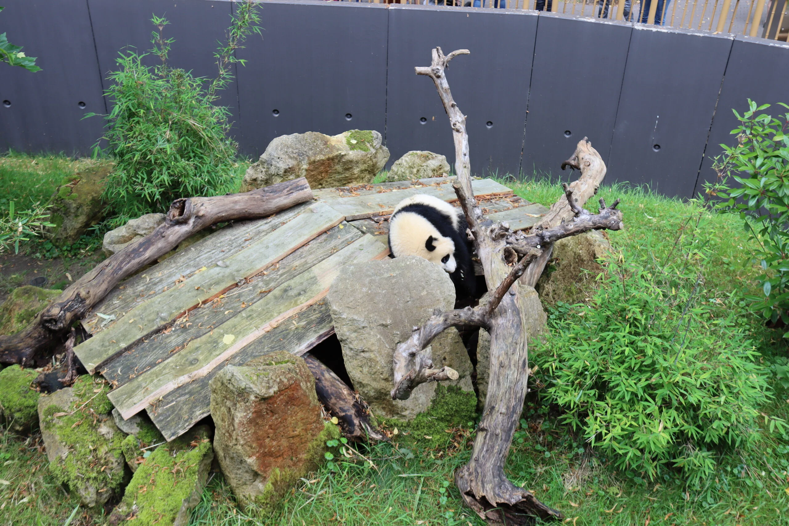 Ouwehands Dierenpark Rhenen