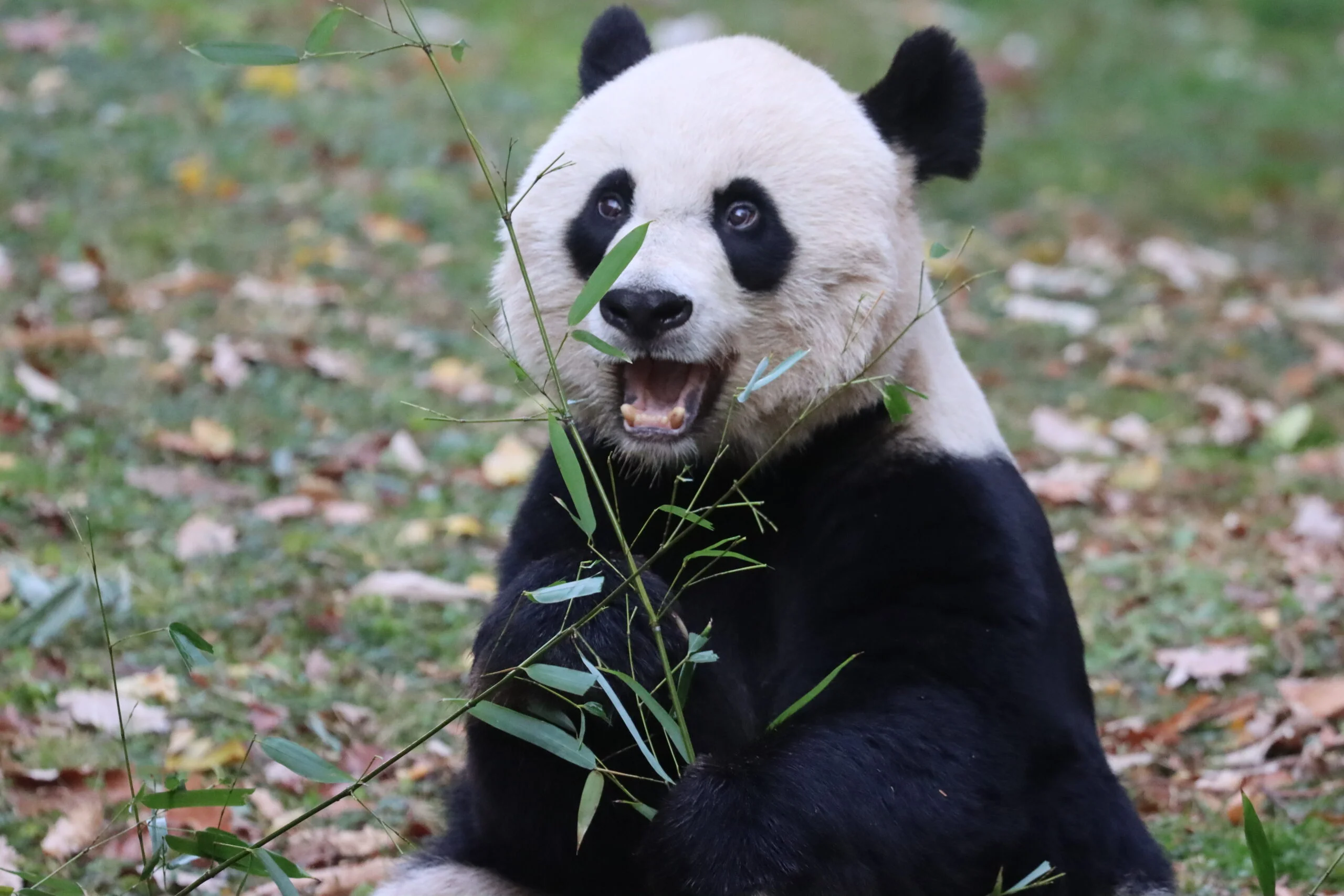 Smithsonian's National Zoo