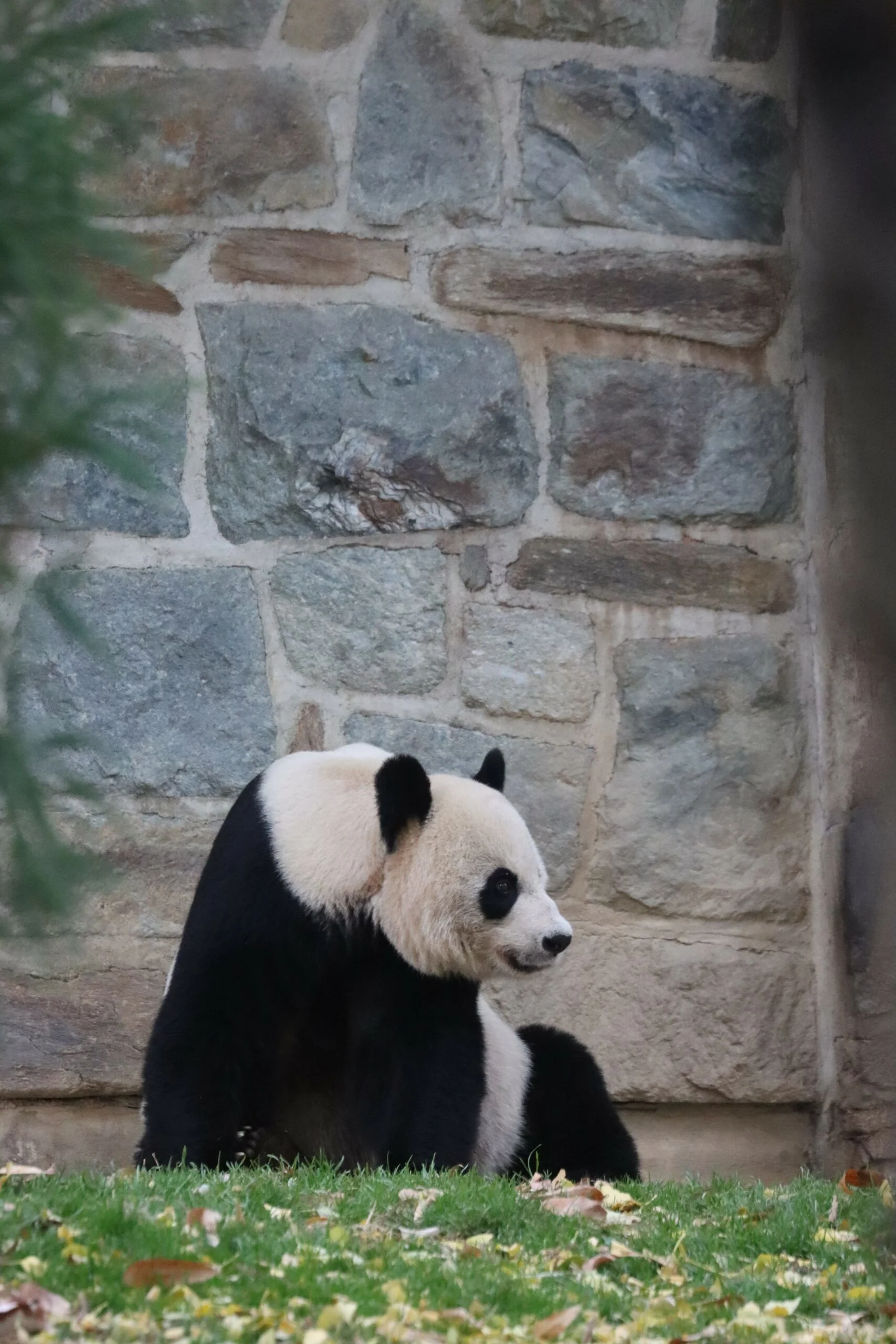 Smithsonian's National Zoo