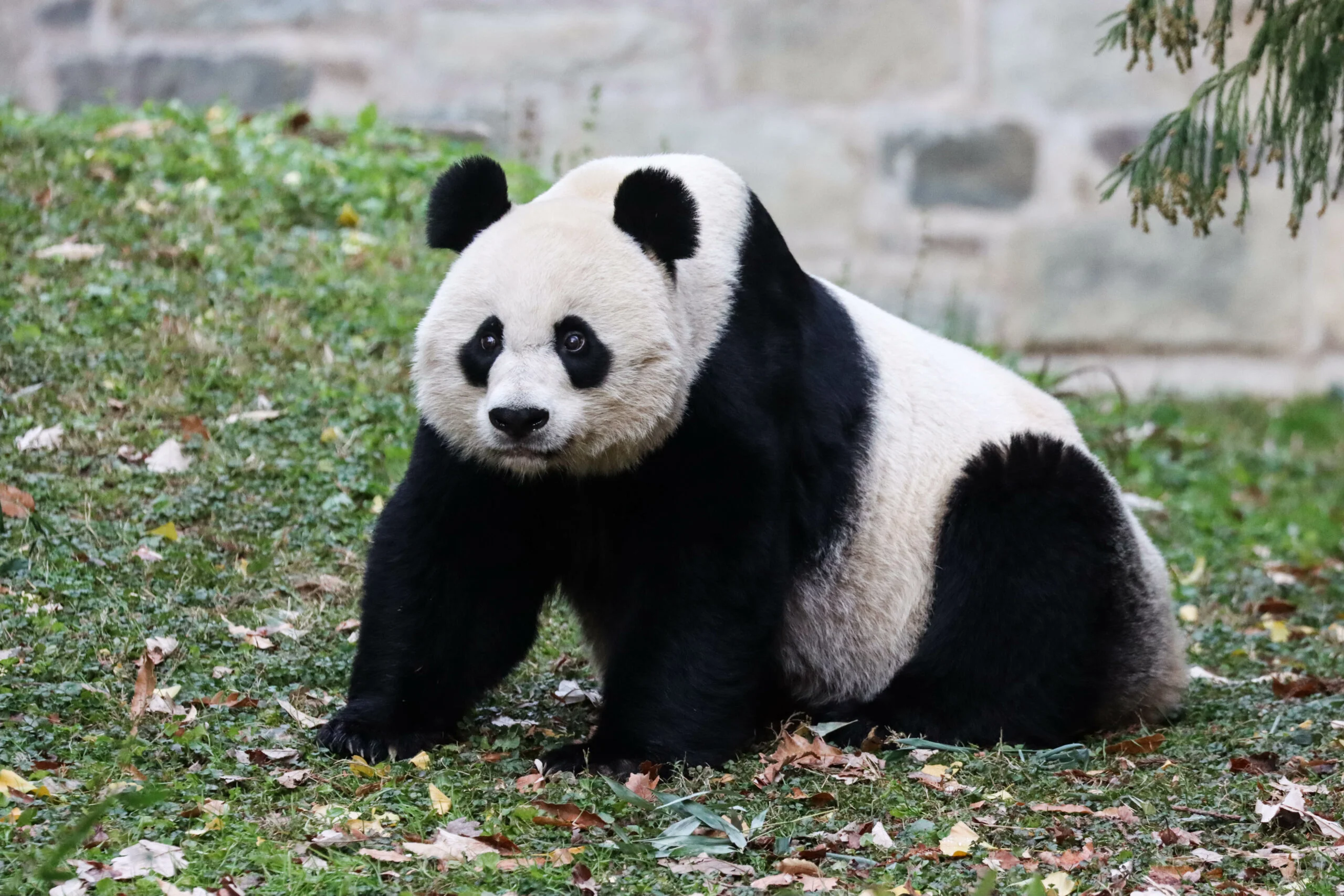 Smithsonian's National Zoo