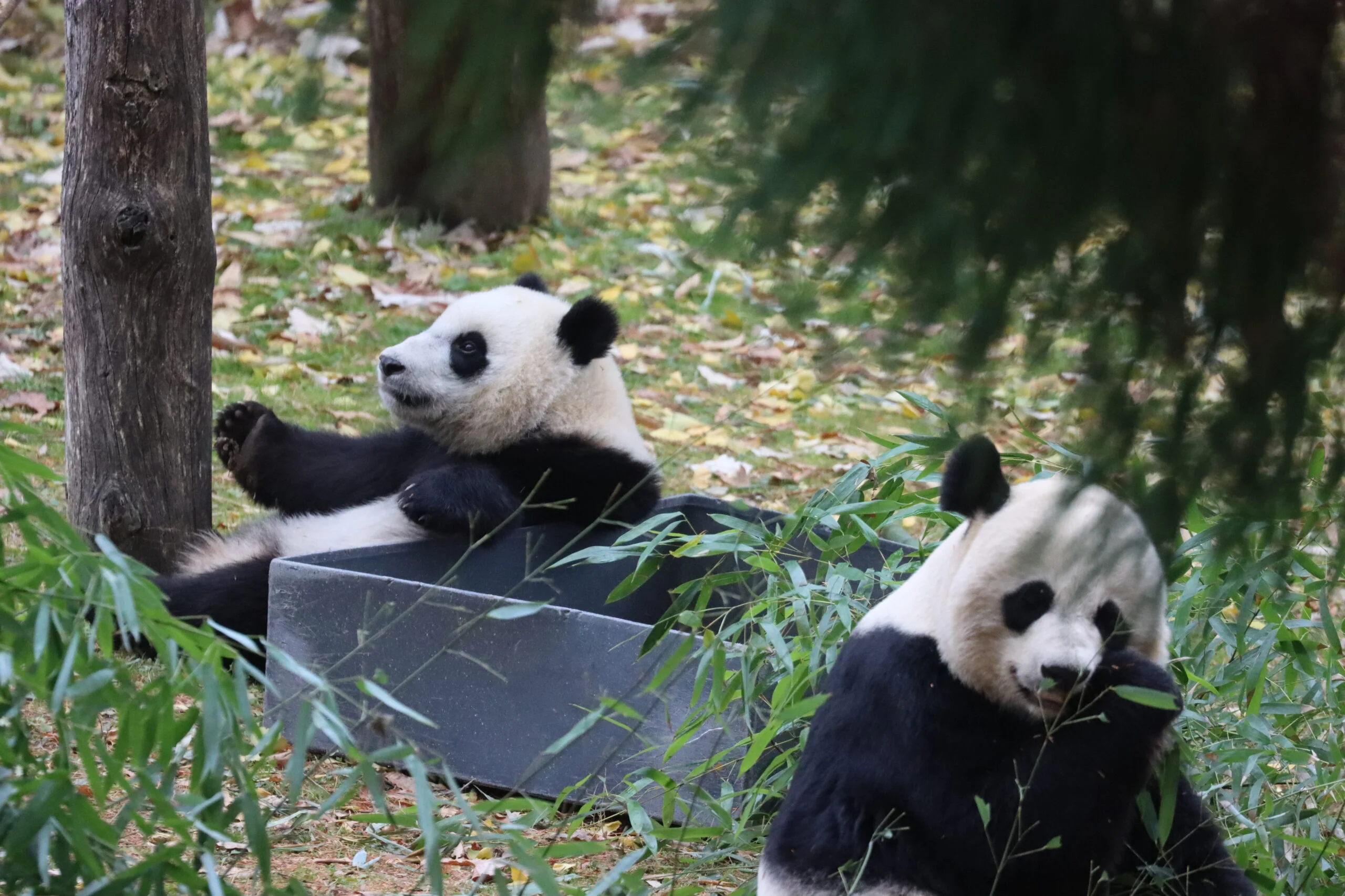 Smithsonian's National Zoo