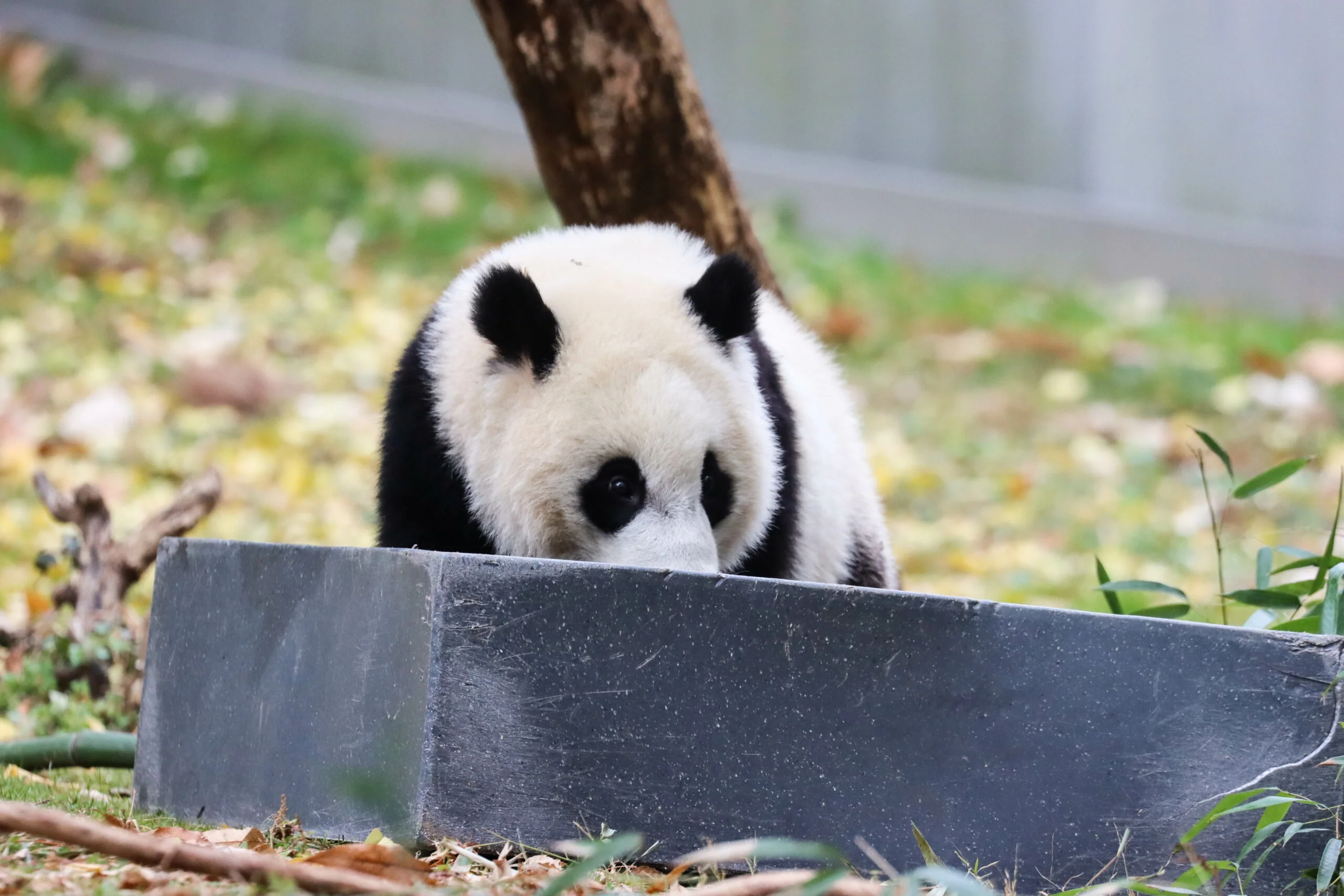Smithsonian's National Zoo