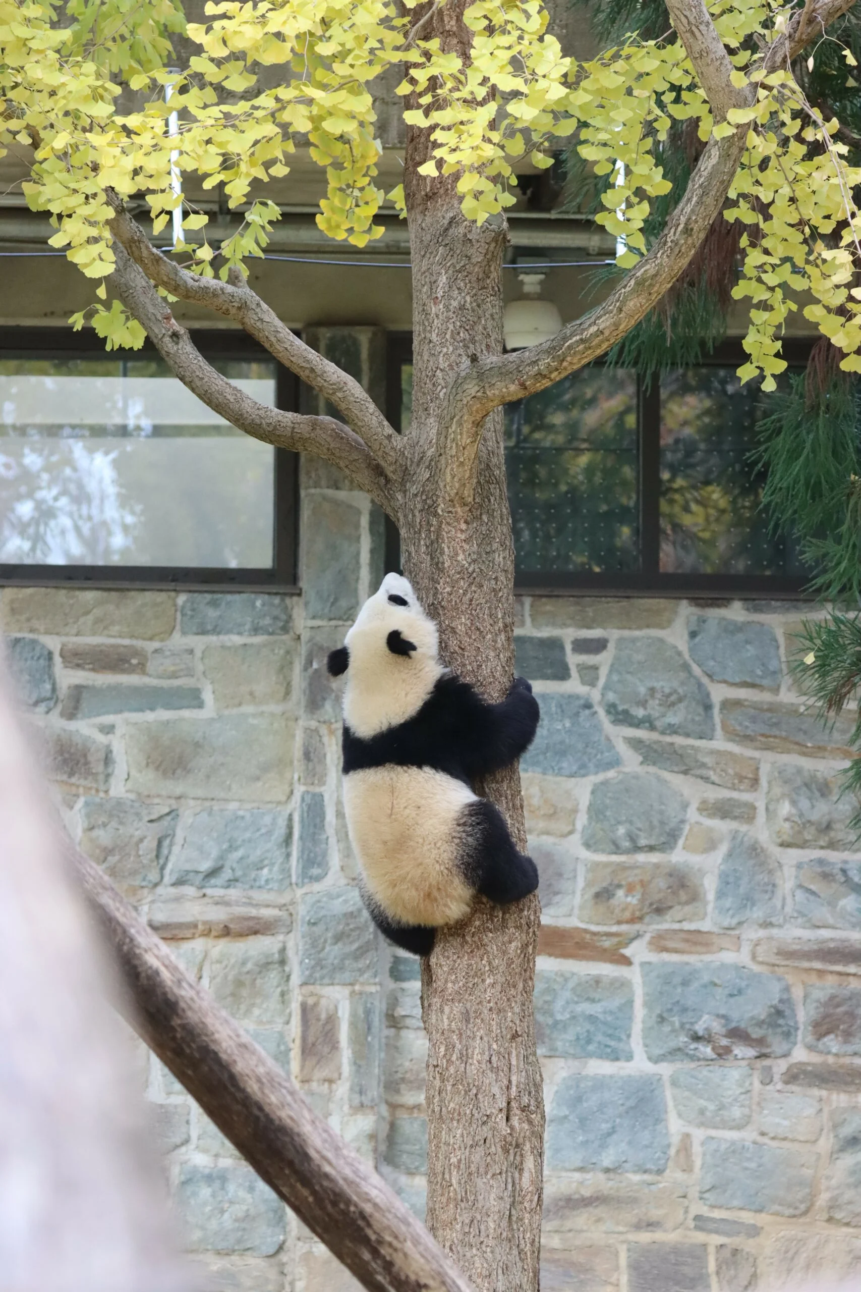 Smithsonian's National Zoo