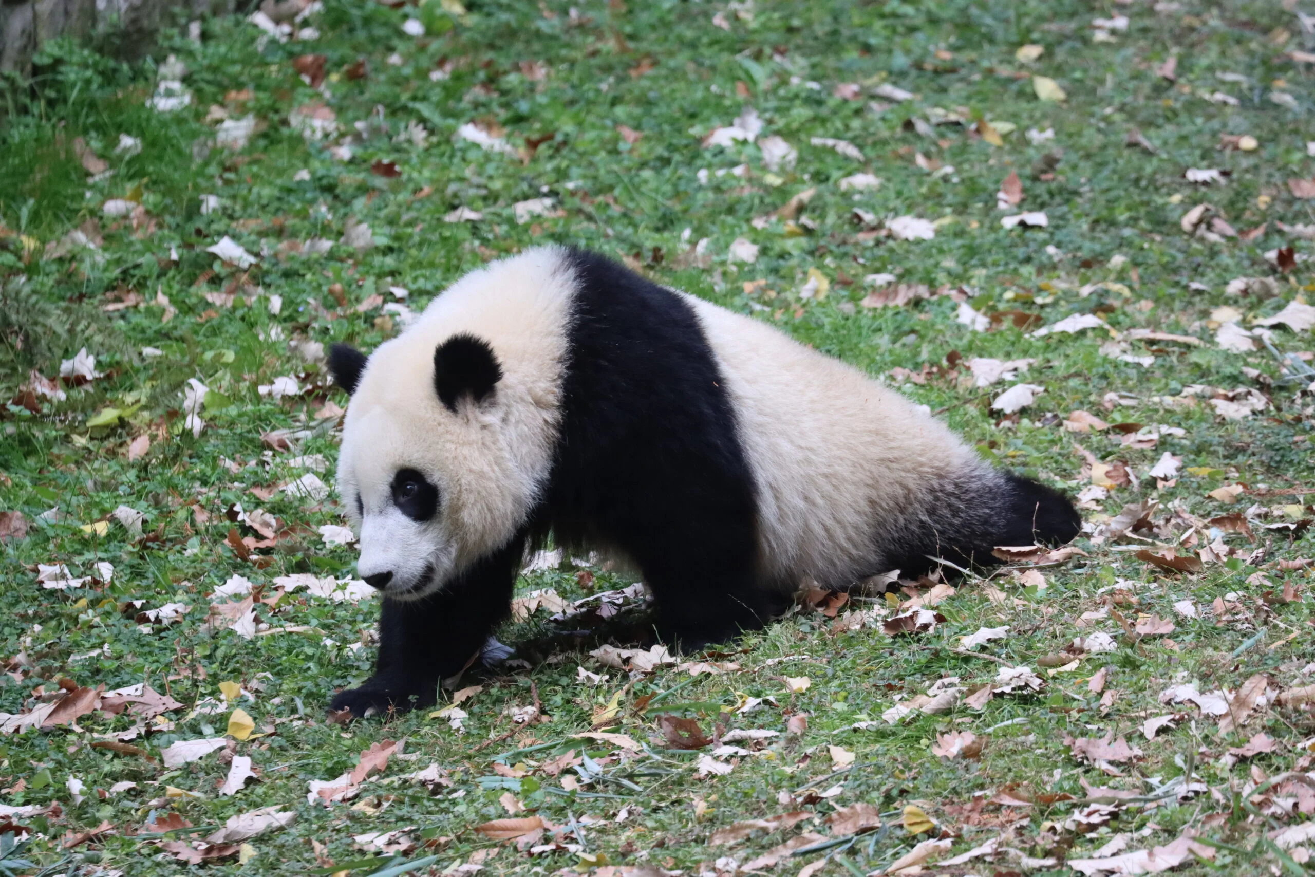 Smithsonian's National Zoo