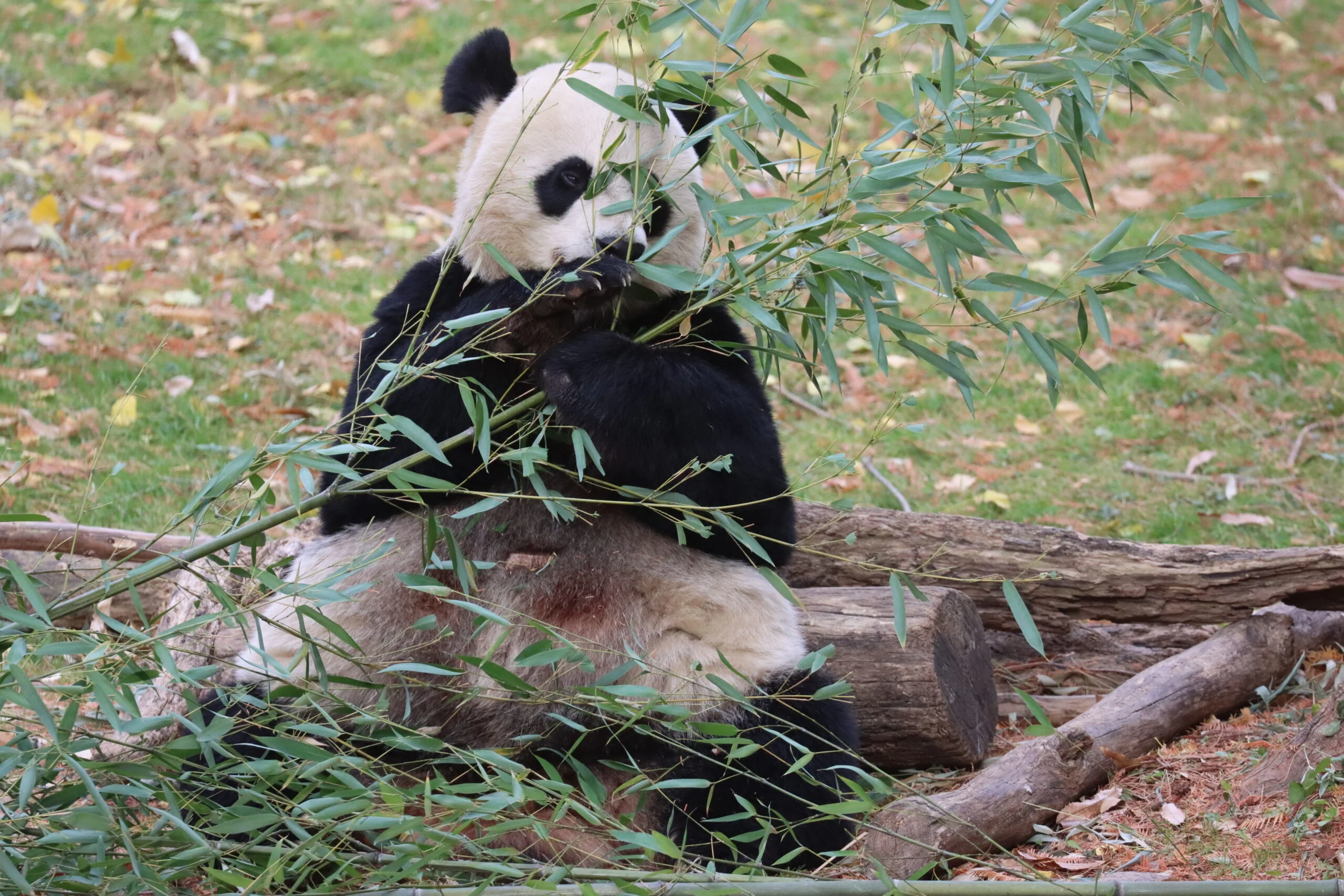 Smithsonian's National Zoo