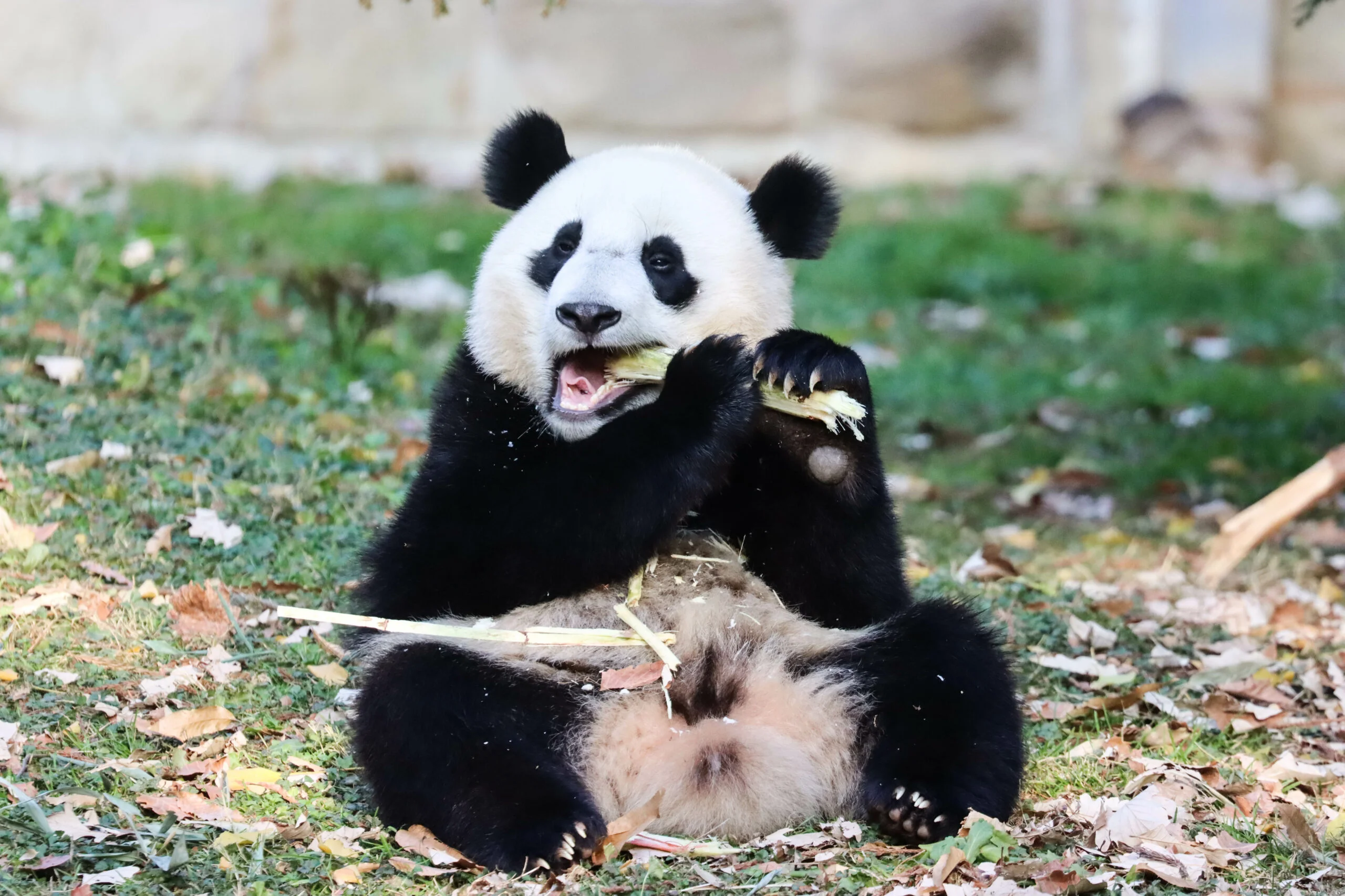 Smithsonian's National Zoo