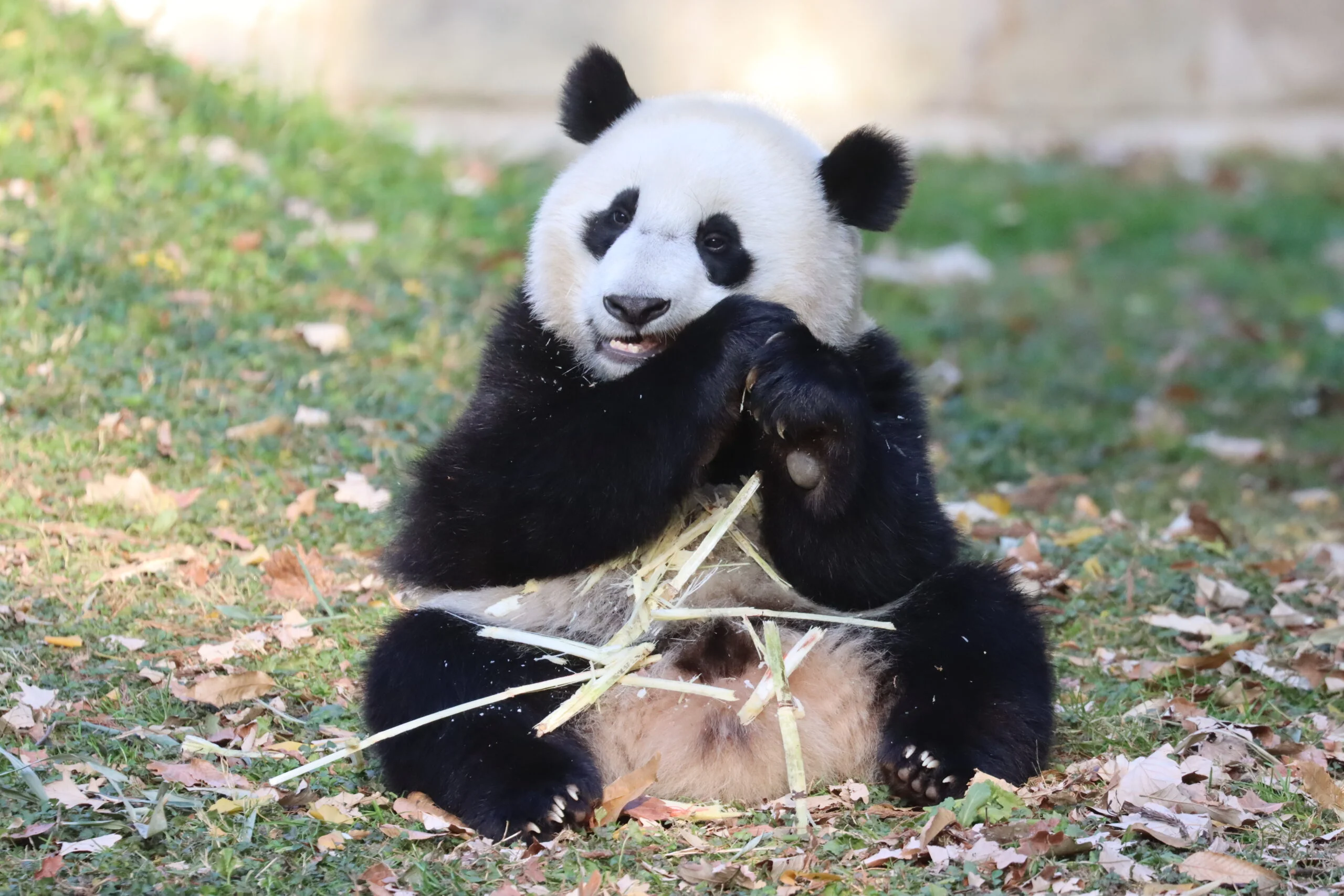 Smithsonian's National Zoo