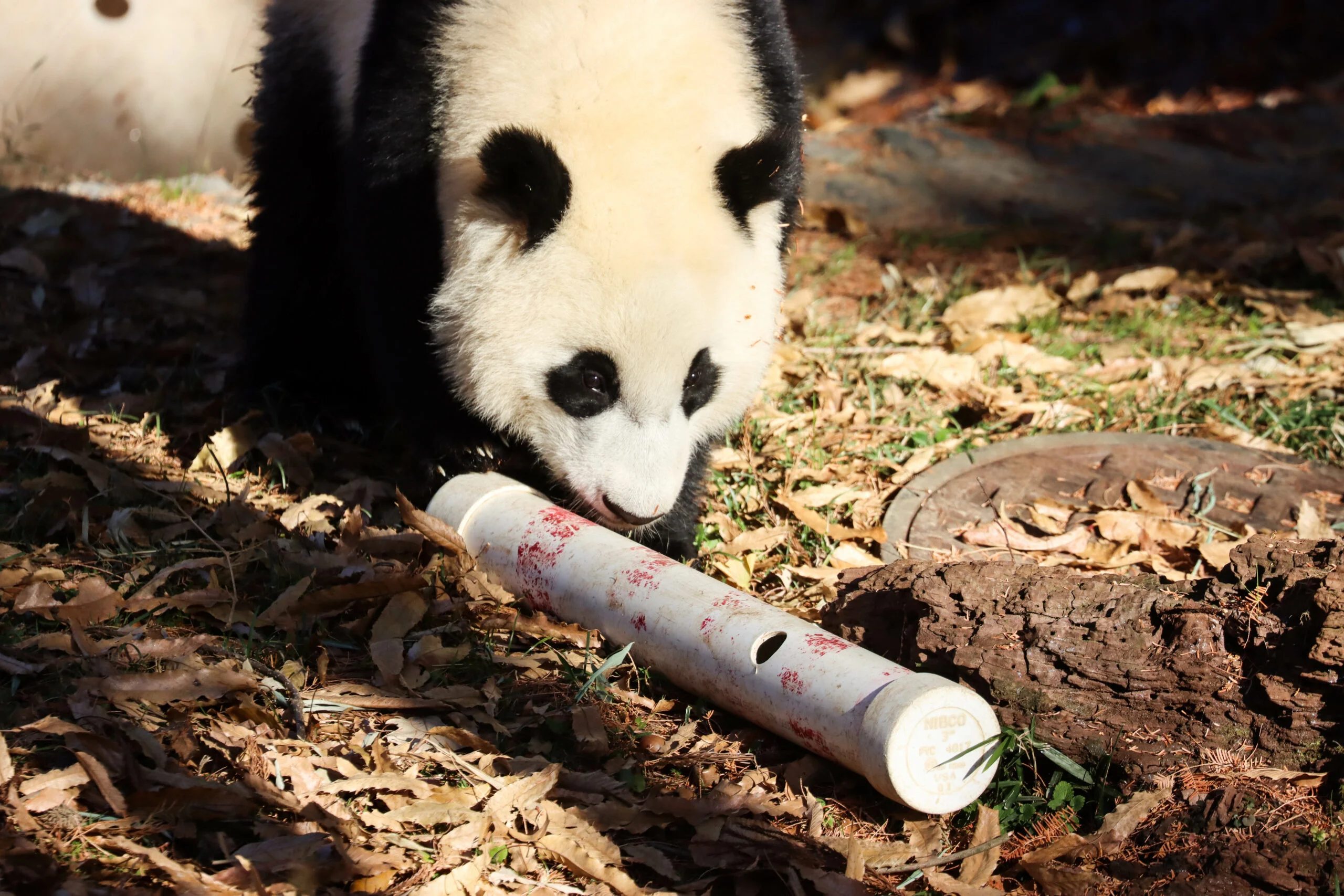 Smithsonian's National Zoo