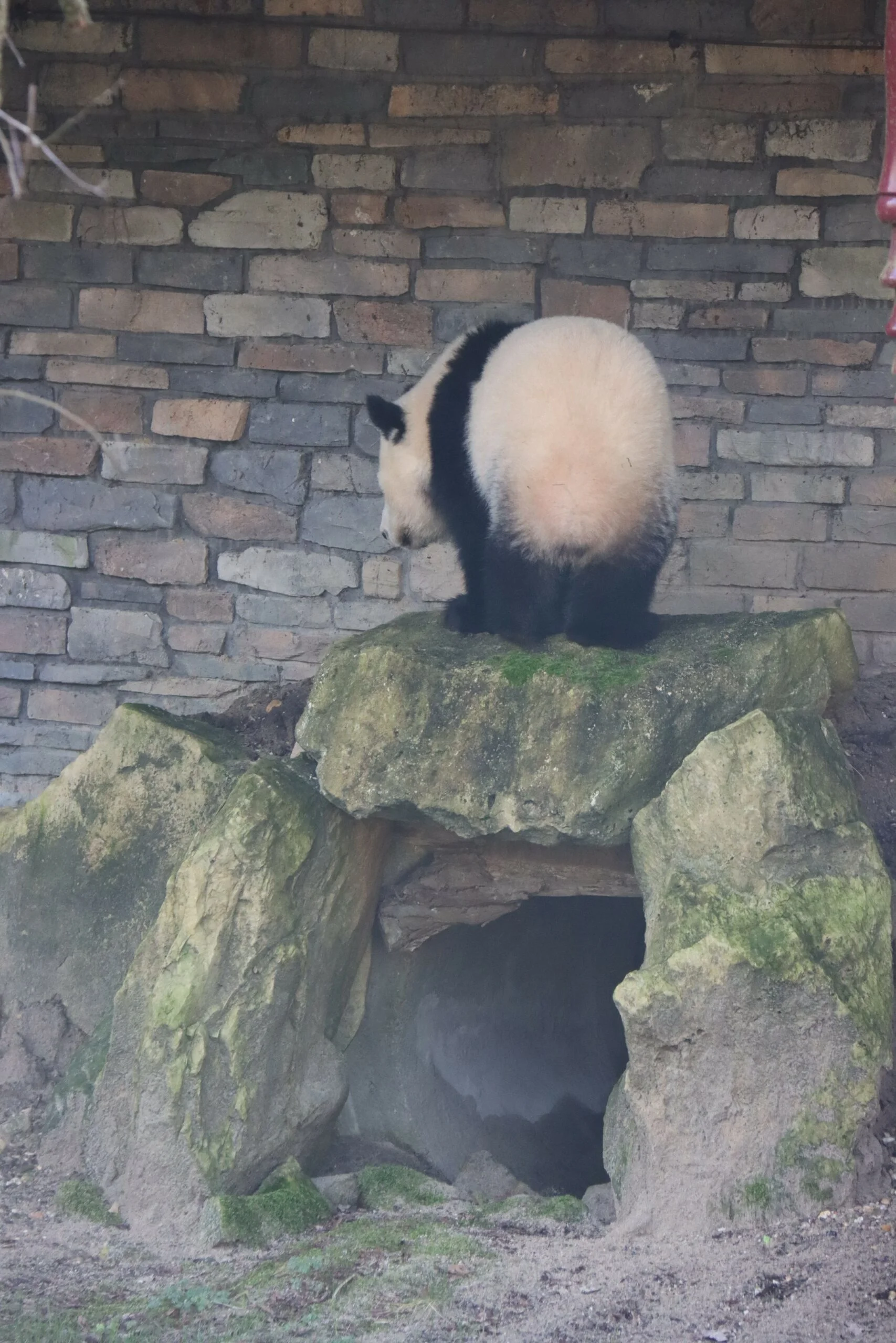 Ouwehands Dierenpark Rhenen