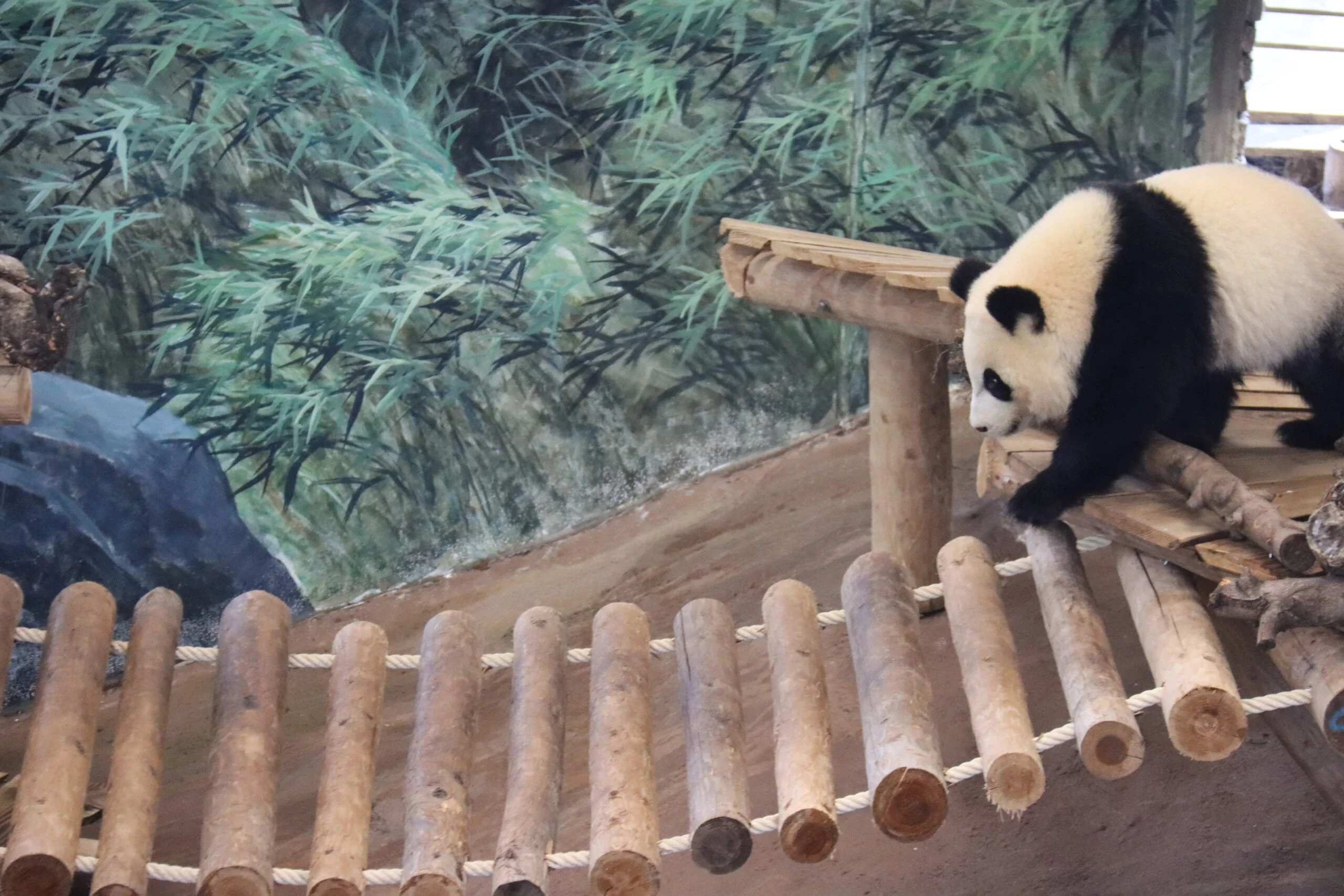 Ouwehands Dierenpark Rhenen