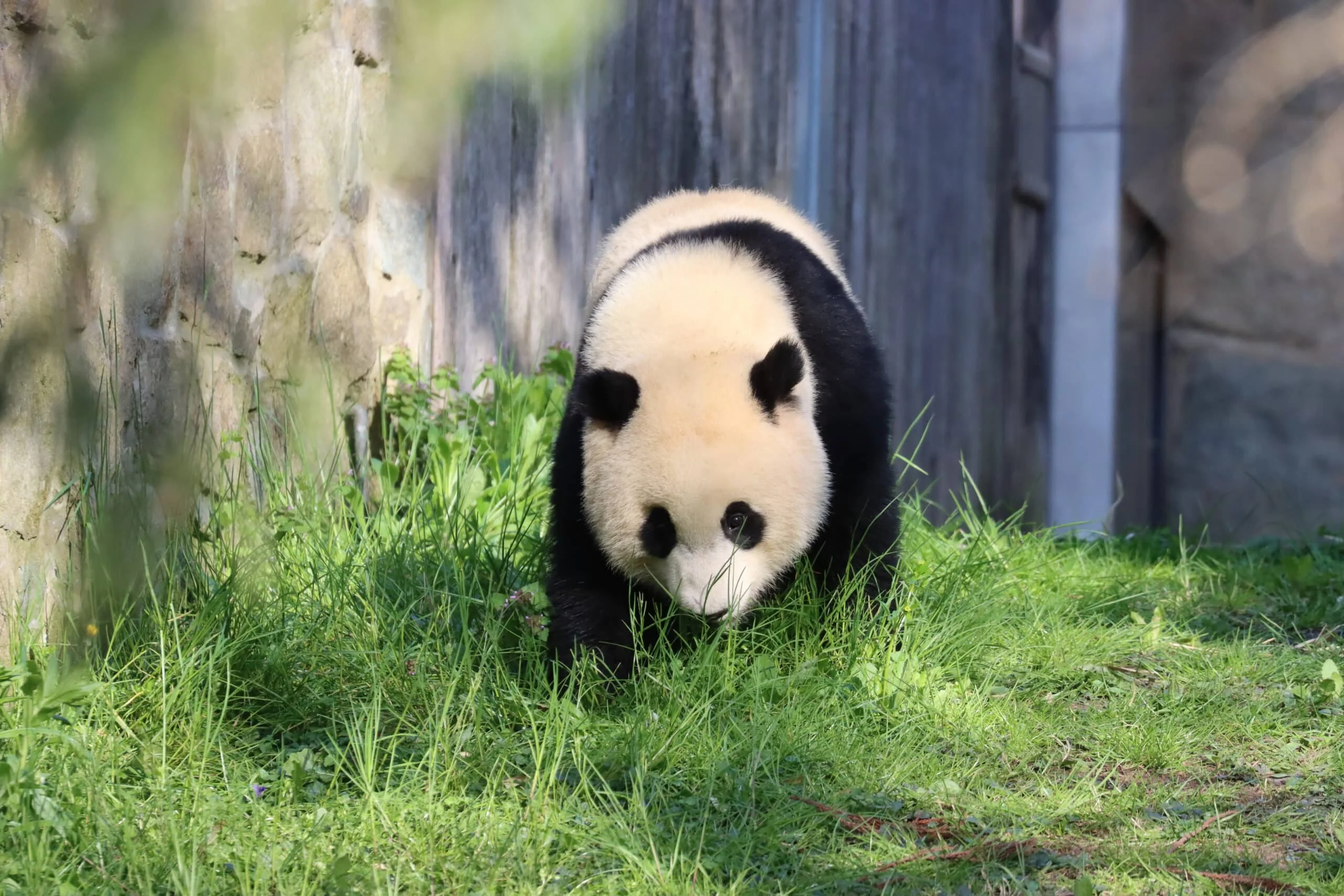 Smithsonian's National Zoo