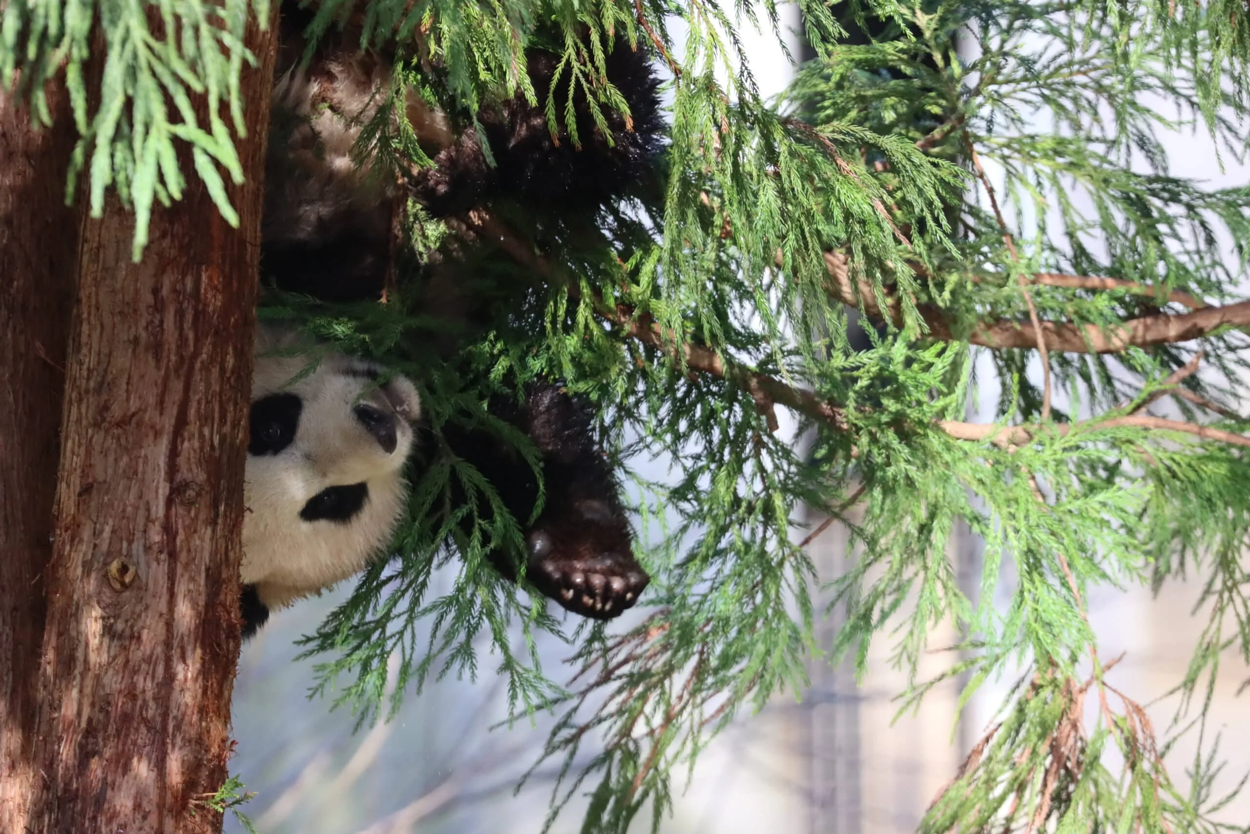 Smithsonian's National Zoo