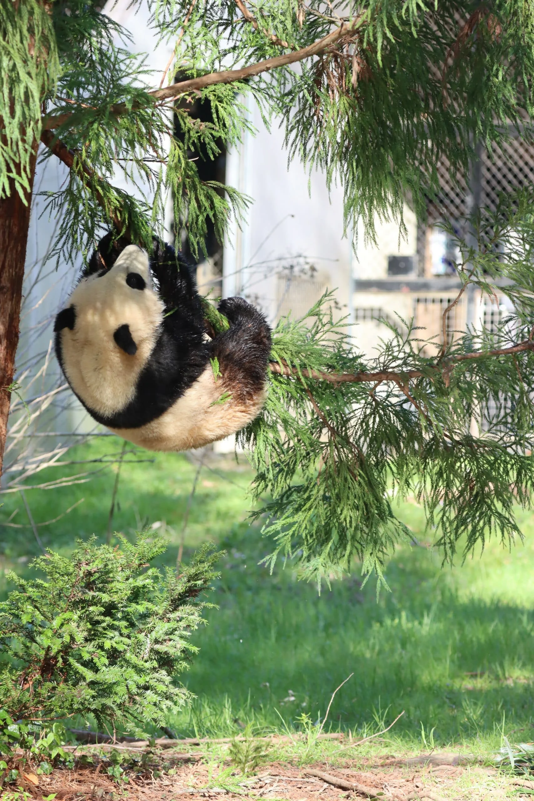 Smithsonian's National Zoo