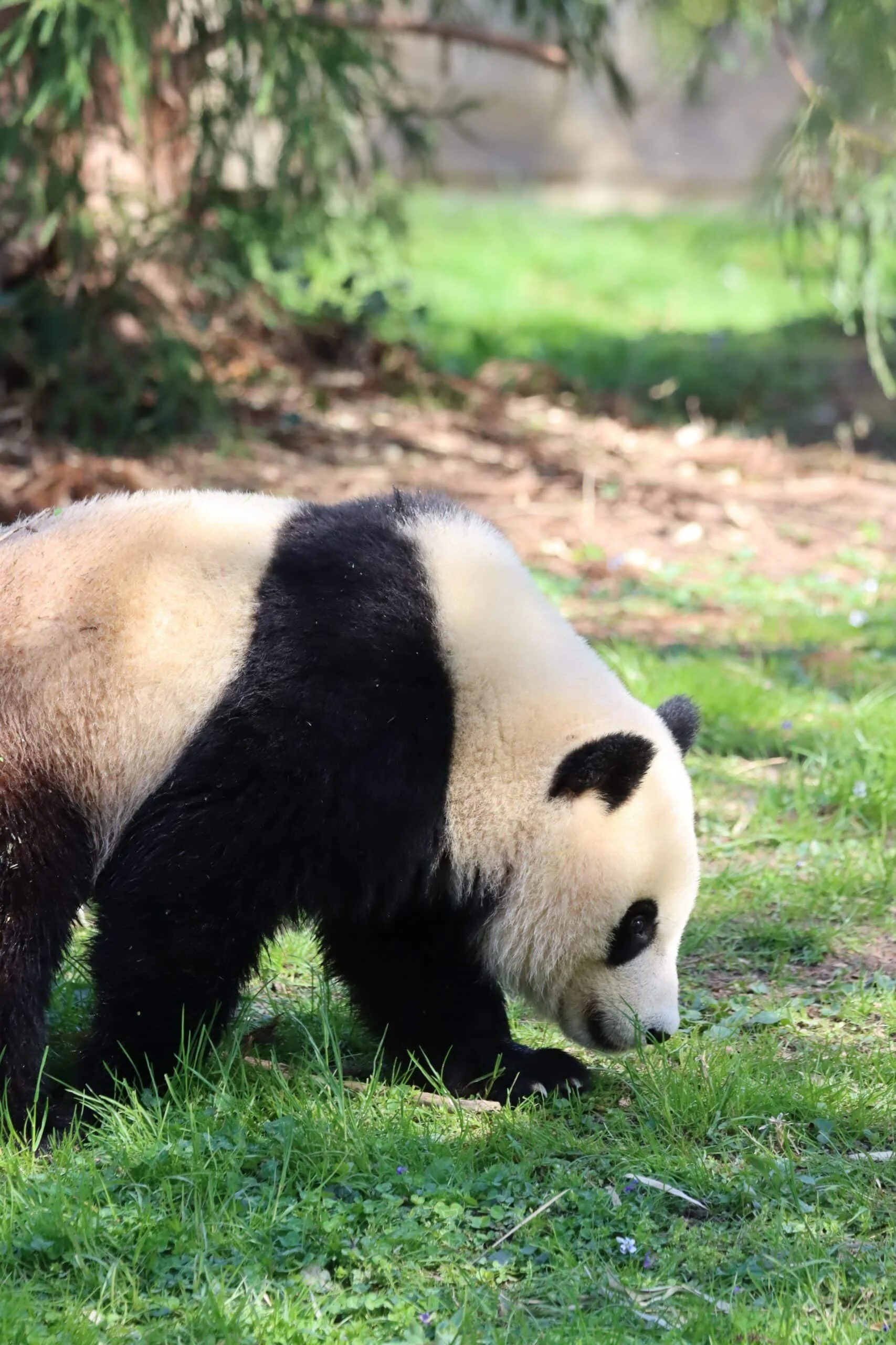 Smithsonian's National Zoo