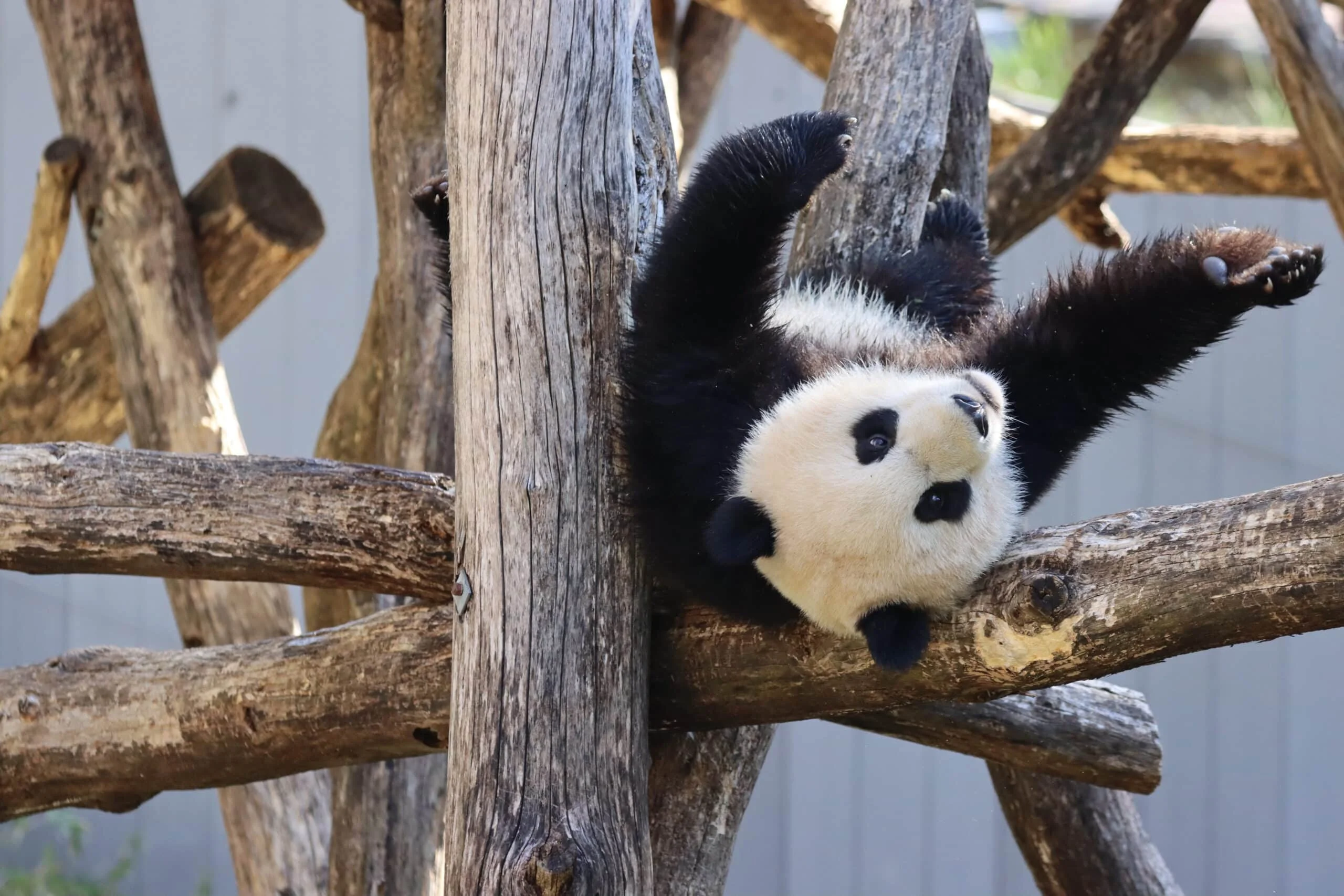 Smithsonian's National Zoo