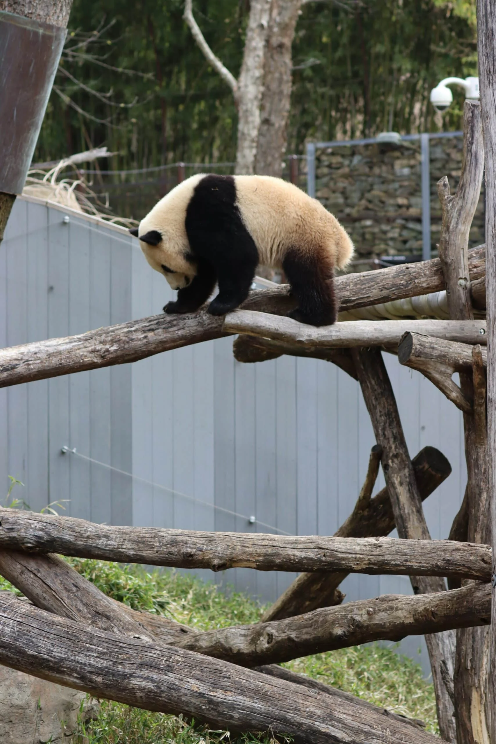 Smithsonian's National Zoo
